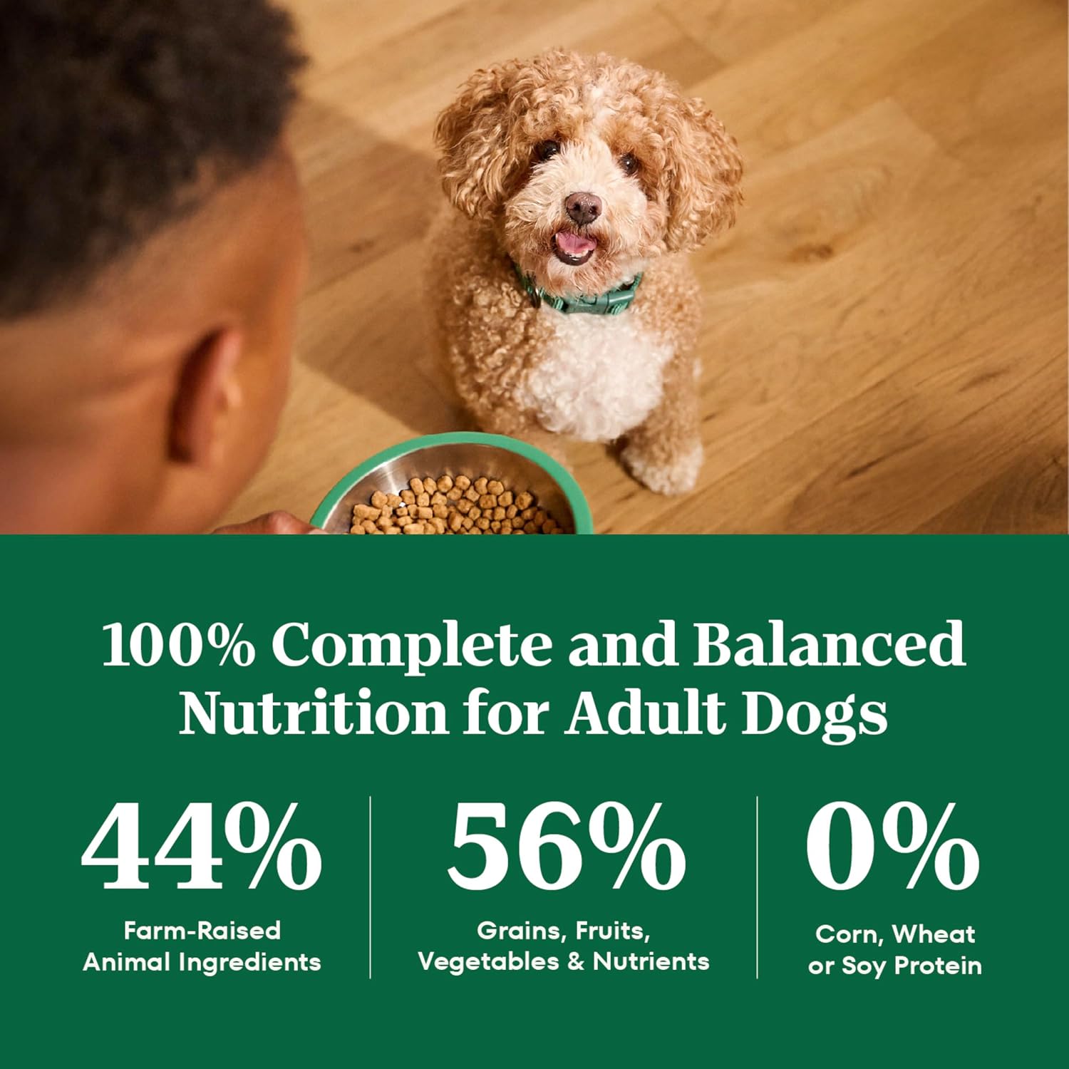 Nutro Natural Choice Small Bites Dry Dog Food, Lamb & Rice, 5 lb | Non-GMO, Real lamb #1 ingredient, no corn, wheat, soy, crafted in USA, supports energy, bones, muscles, dental health, skin