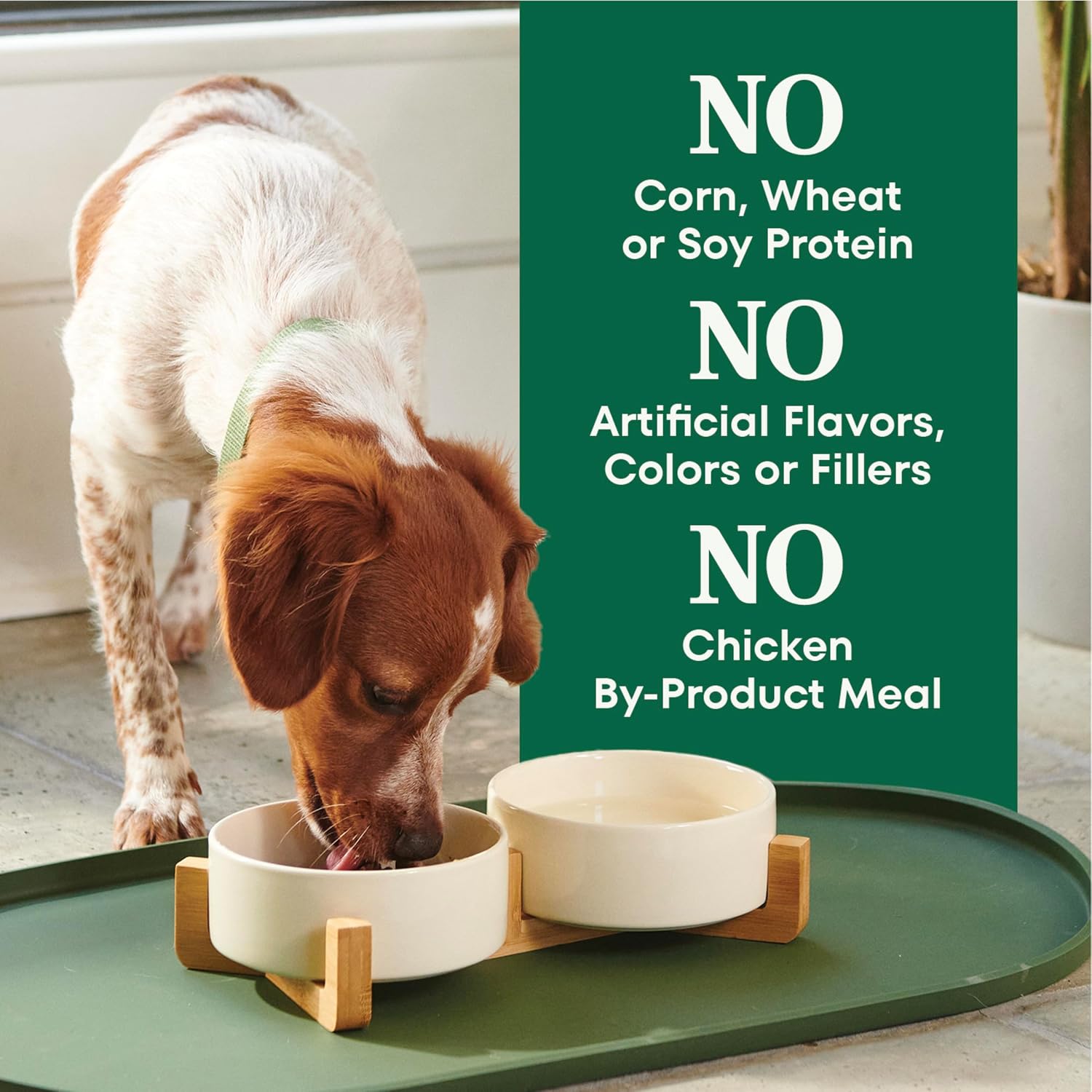 Nutro Natural Choice Senior Dry Dog Food, Chicken & Brown Rice, 30 lb | Non-GMO, Real chicken #1 ingredient, no corn, wheat, soy, supports bones, digestion & immunity, dental health & skin/coat