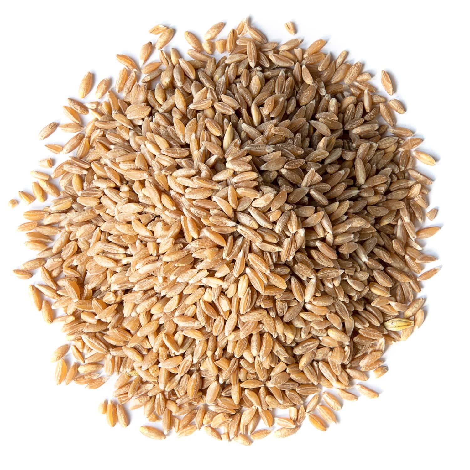 Food to Live Organic Spelt Berries, 3 Pounds - Non-GMO, Whole Grain, Non-Irradiated, Vegan Superfood, Bulk, Product of the USA
