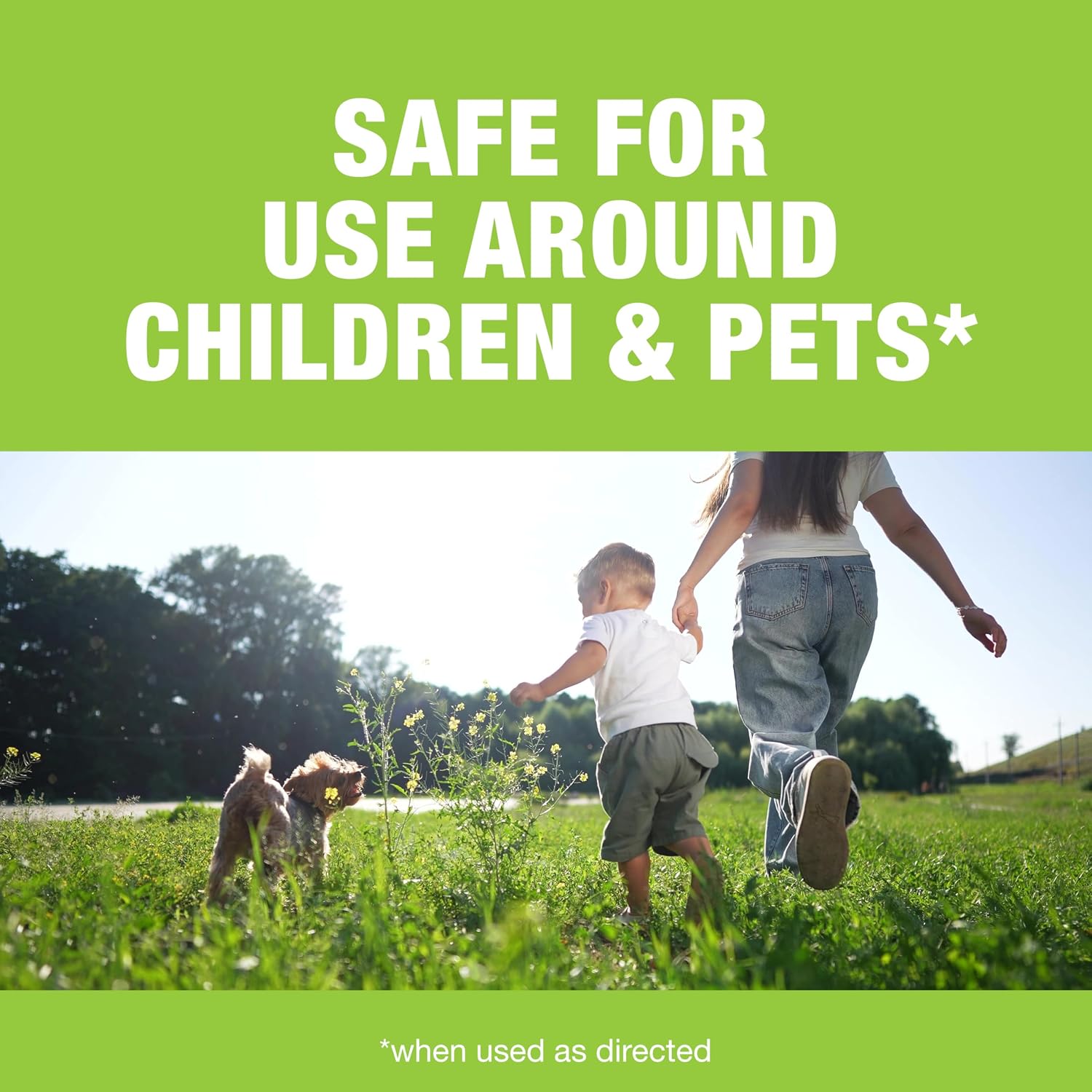 Safer Brand Deer-Off Repellent Stations, 6-Pack, Deer and Rabbit Repellent | 90-Day Coverage up to 192 Sq Ft, Animal Deterrent Stakes