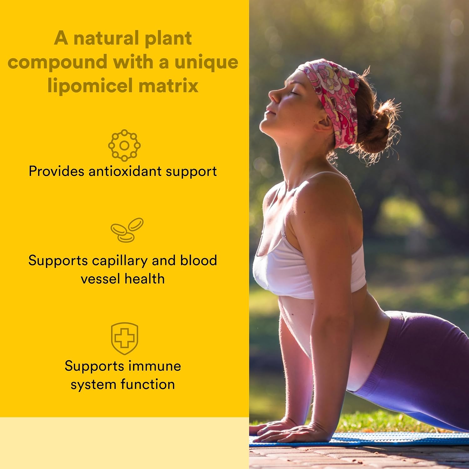 Natural Factors Quercetin LipoMicel Matrix 250 mg, 60 Softgels