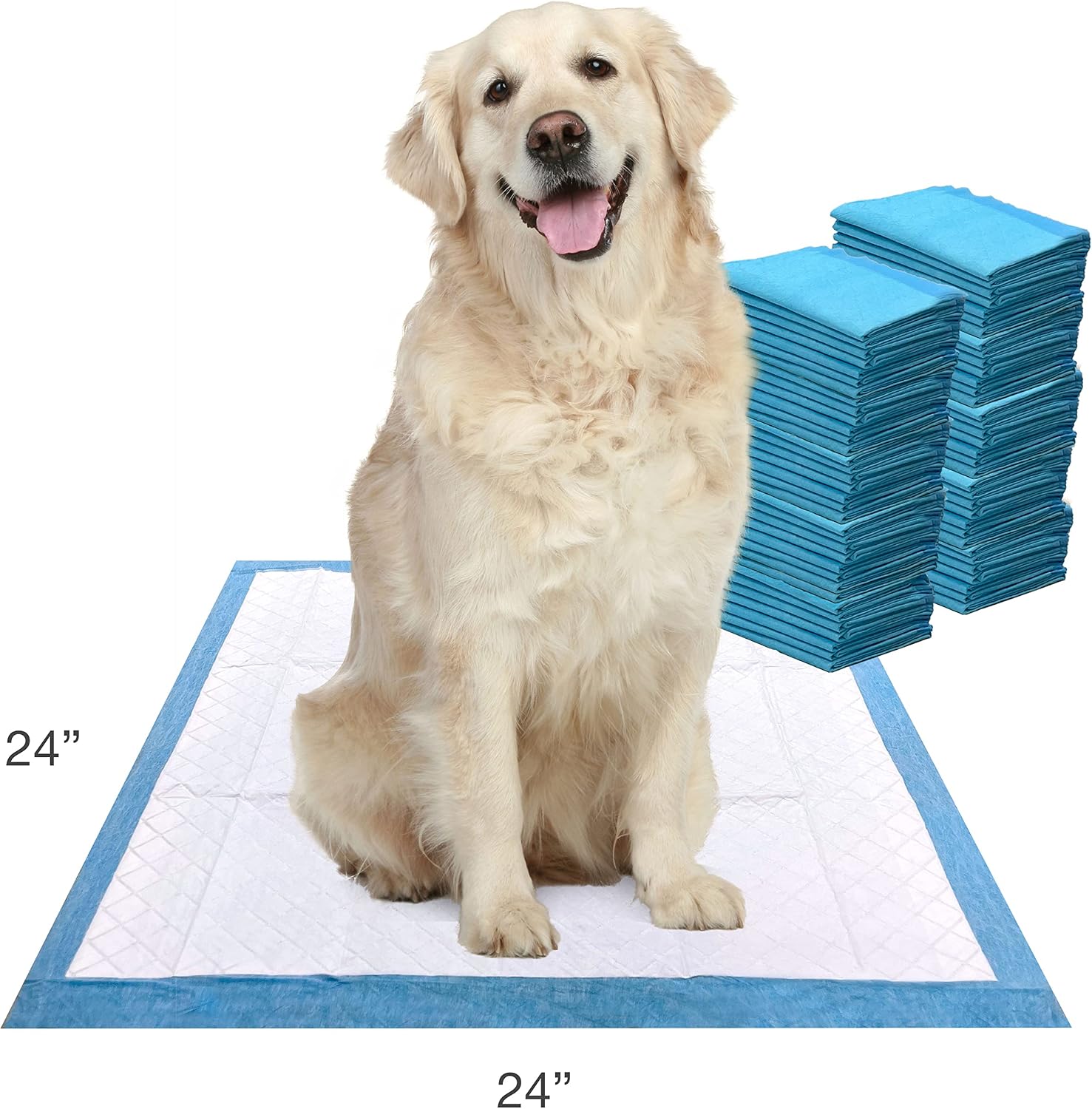 Four Paws Wee-Wee Super Absorbent Pads for Dogs, 22 Count | Leak-proof puppy pads, locks in wetness, dog housebreaking & potty training, all day floor protection, 24" x 24"