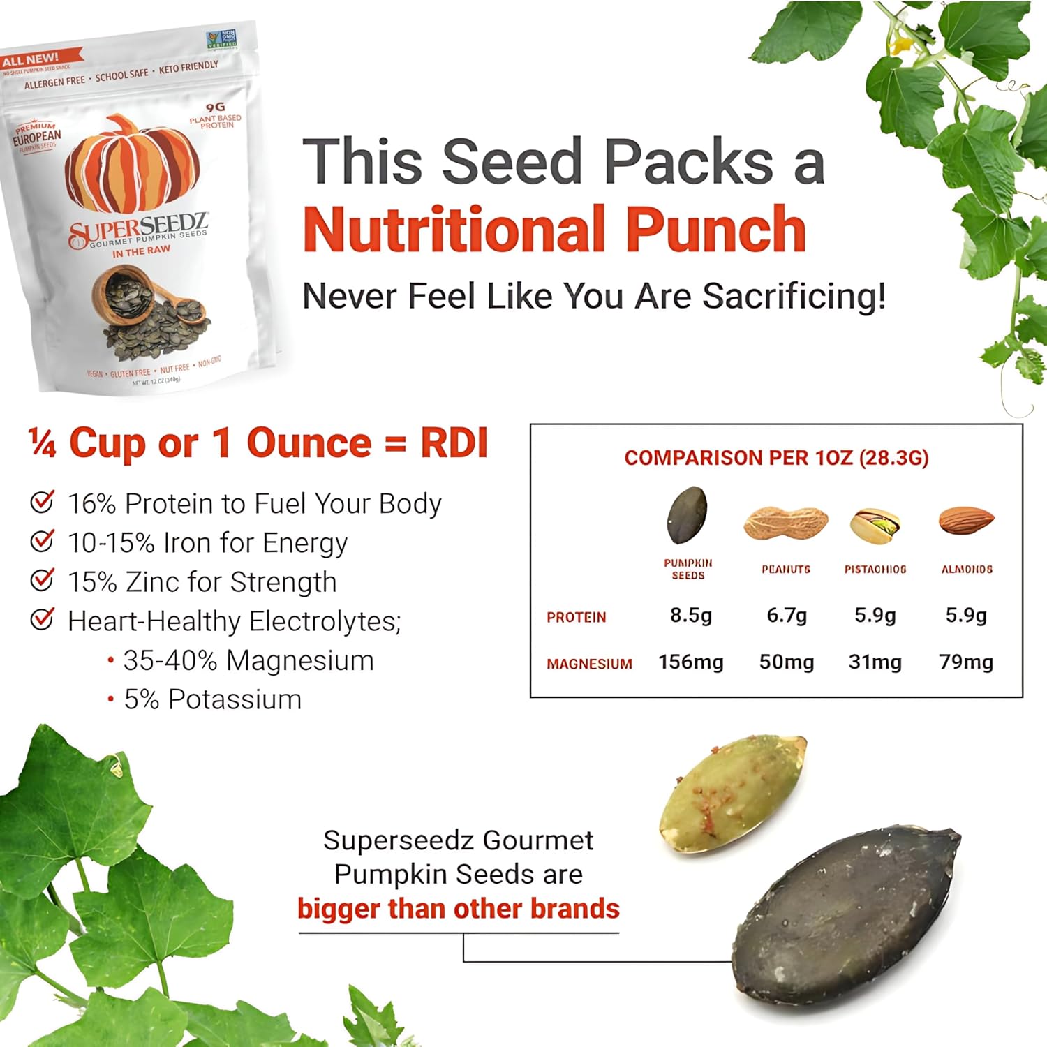 SuperSeedz Dry Roasted Pumpkin Seeds with Sea Salt w/8g Protein (5oz Bag) | Nn-GMO, Gluten-Free, Keto Snacks – Nut-Free & School Friendly Organic Pumpkin Seeds – Large European No Shell Pepitas