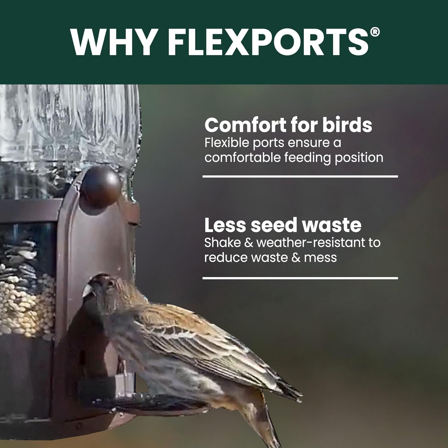 Perky-Pet Squirrel-Be-Gone Max Bird Feeder, (4) Flexport Feeding Stations | Squirrel-Proof Metal Hanging Feeder for Outdoors