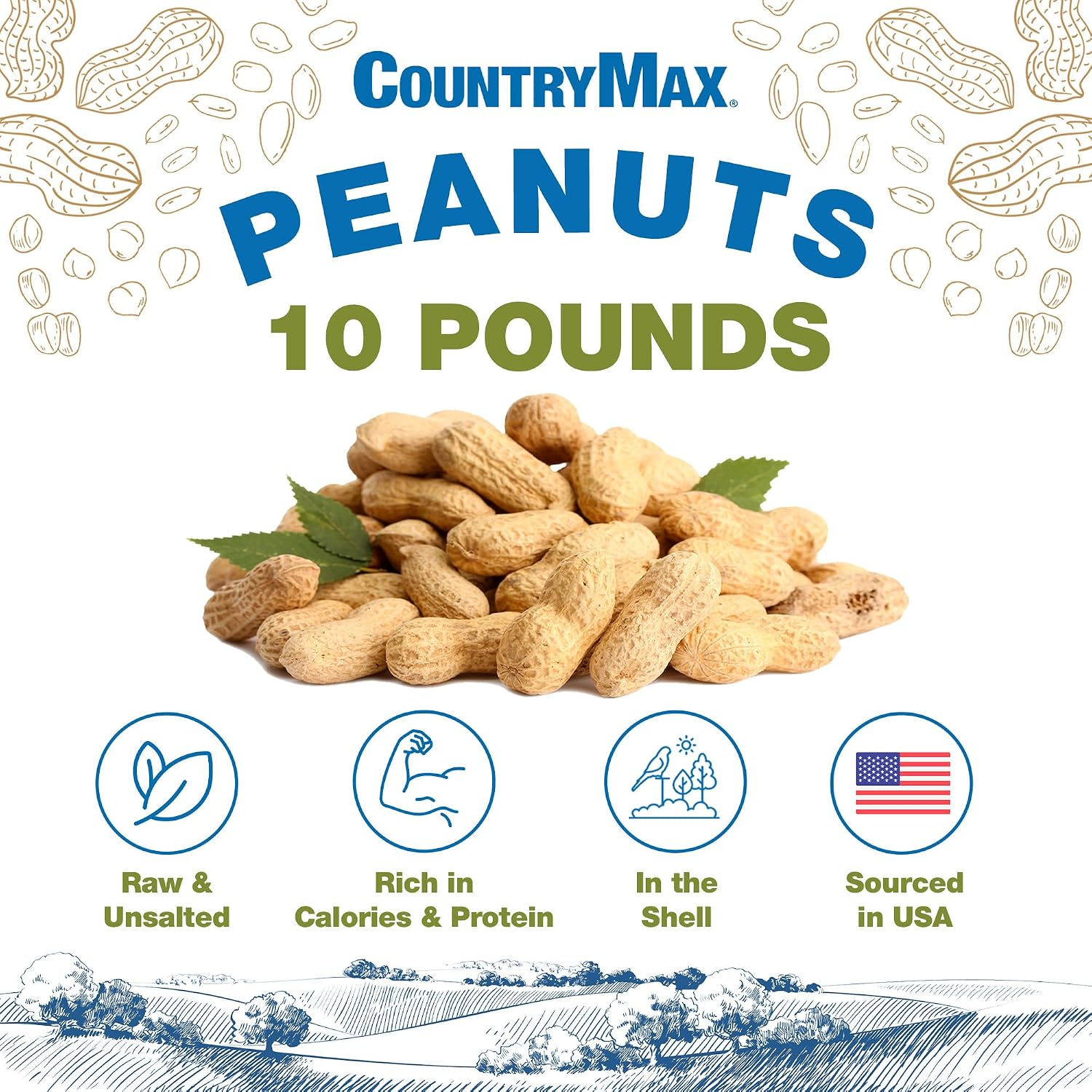 CountryMax Backyard Seeds Shelled Whole Peanuts for Woodpeckers, Birds, Squirrels & Wildlife – Premium Wild Animal Food, 10 lbs Bag