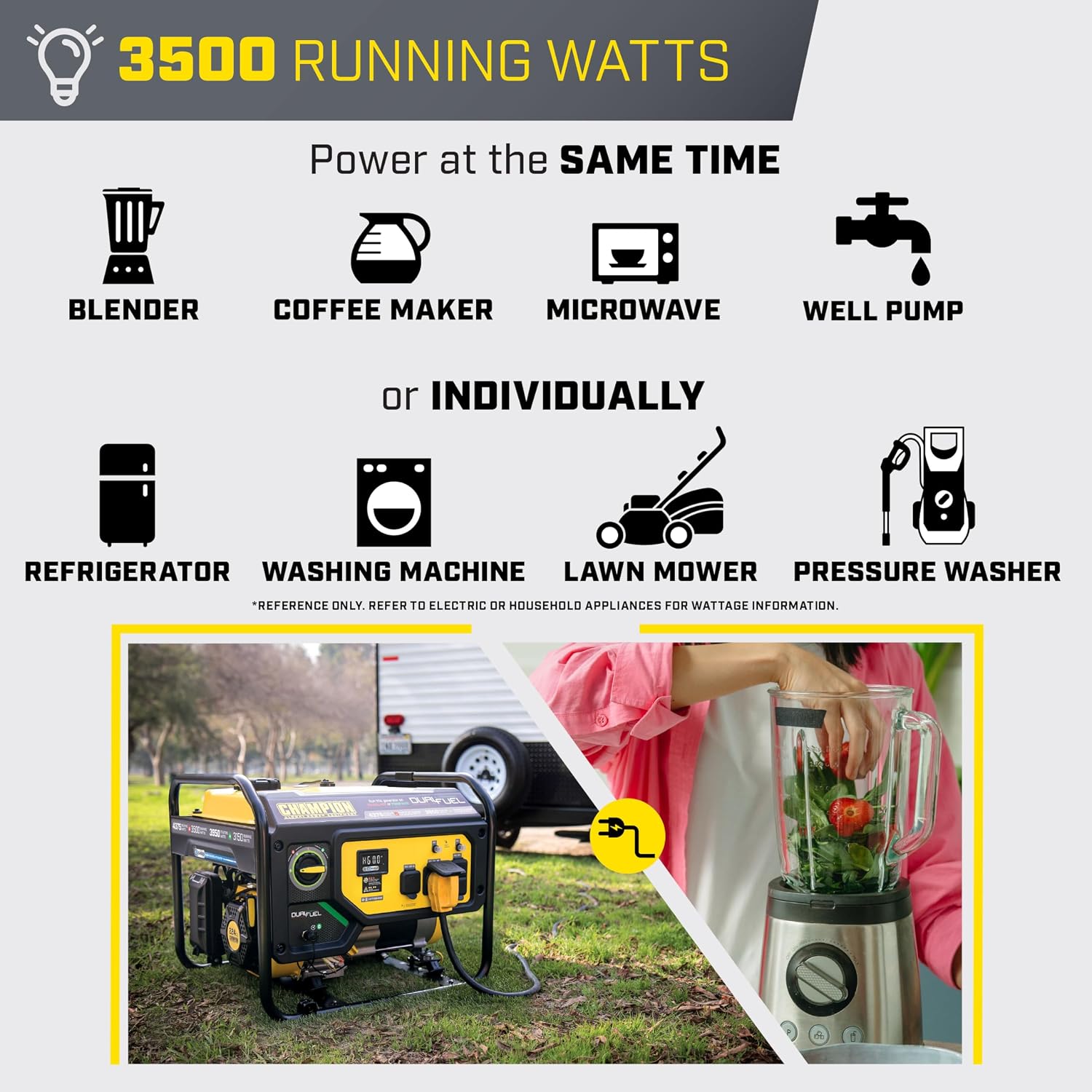 Champion Power Equipment 4375-Watt Dual Fuel RV Ready Portable Generator with Free 3-Year Warranty