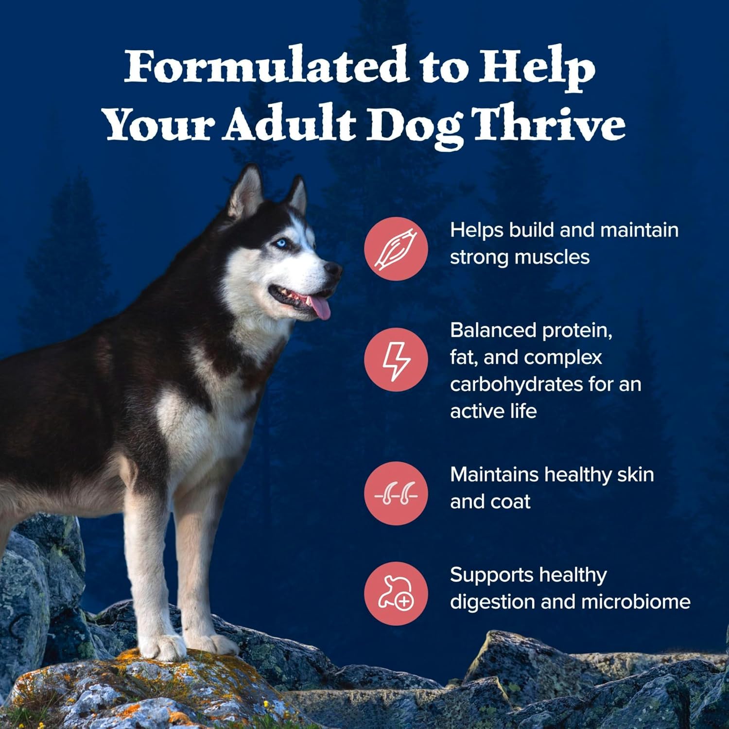 Blue Buffalo Wilderness Chicken Adult Dry Dog Food, Grain-Free, 24 lb | 39g Protein, Real Chicken #1 Ingredient, Supports Immunity with Antioxidant-Rich LifeSource Bits, Promotes Healthy Muscles