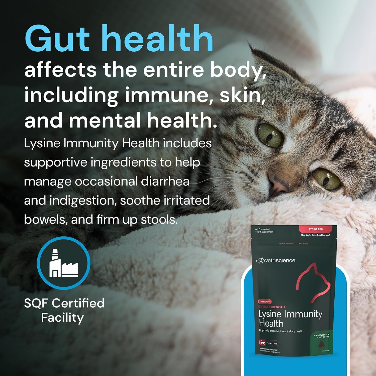 VETRISCIENCE Extra Strength Lysine Immunity Health Chews - Immunity Supplement for Cats of All Ages - Supports Immune Function