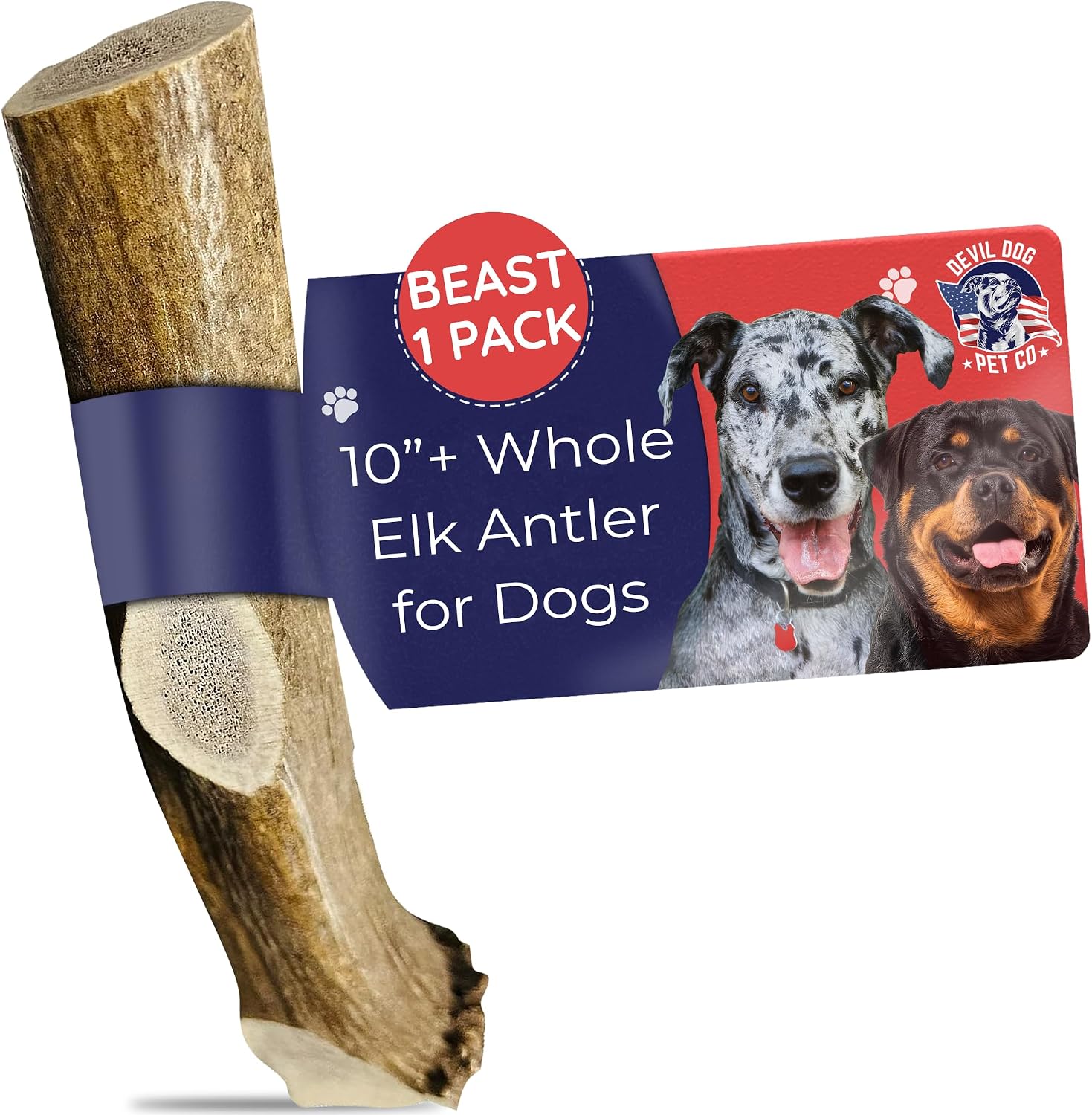 Devil Dog Pet Co Whole Elk Antlers for Dogs, Medium, Aggressive Chewers | Naturally shed Grade A Rocky Mountain elk antler, single ingredient, long lasting, 5 in+, fits breeds up to 50 lb