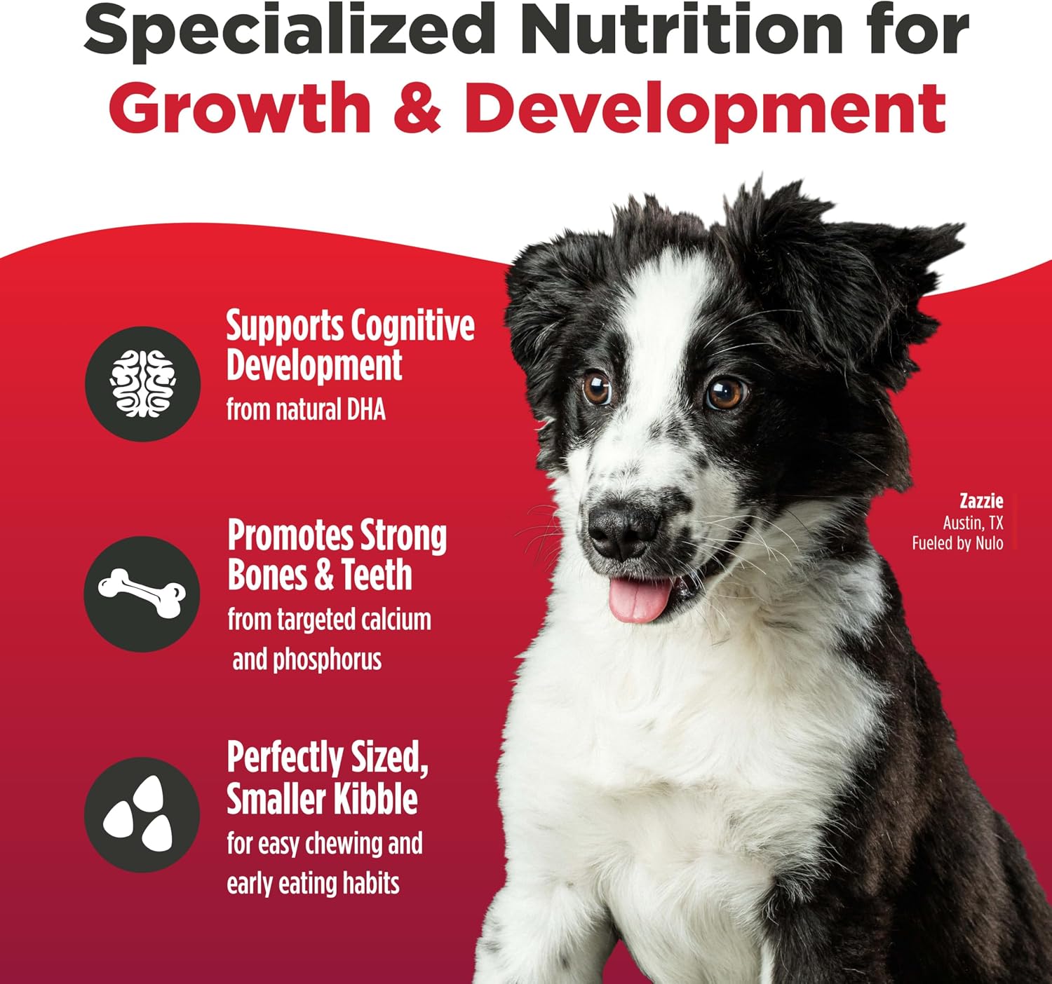Nulo Freestyle Dry Puppy Food - Salmon & Peas, Premium Grain Free Dog Food for Puppies, Natural, High Protein Kibble with DHA, Omega 3 & Probiotics