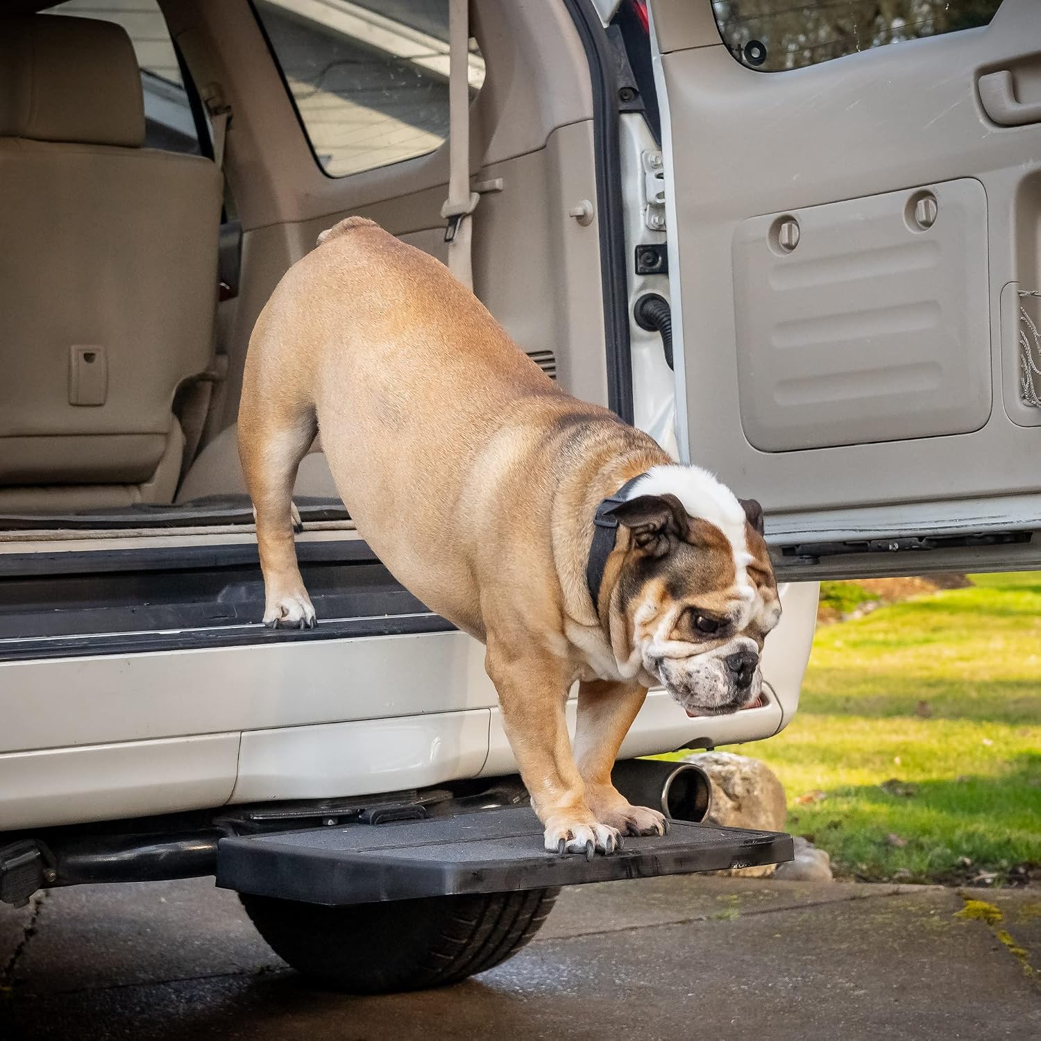 USA Made Otto Step Pet Ramp Step Helps Dogs Get in & Out of Car Van SUV | Portable Lightweight Dog Ramp | Simply Slide into 2 inch Trailer Hitch