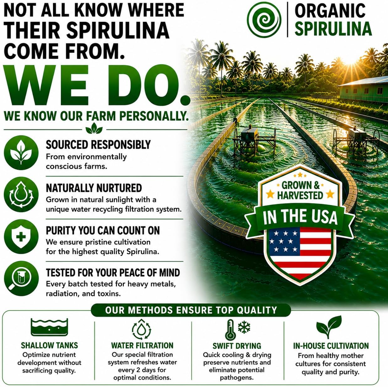 Spirulina Powder Capsules 3000 mg - Purest Non-Irradiated Blue Green Algae - Best Raw Vegan Protein - Green Superfood - Natural Multivitamins –