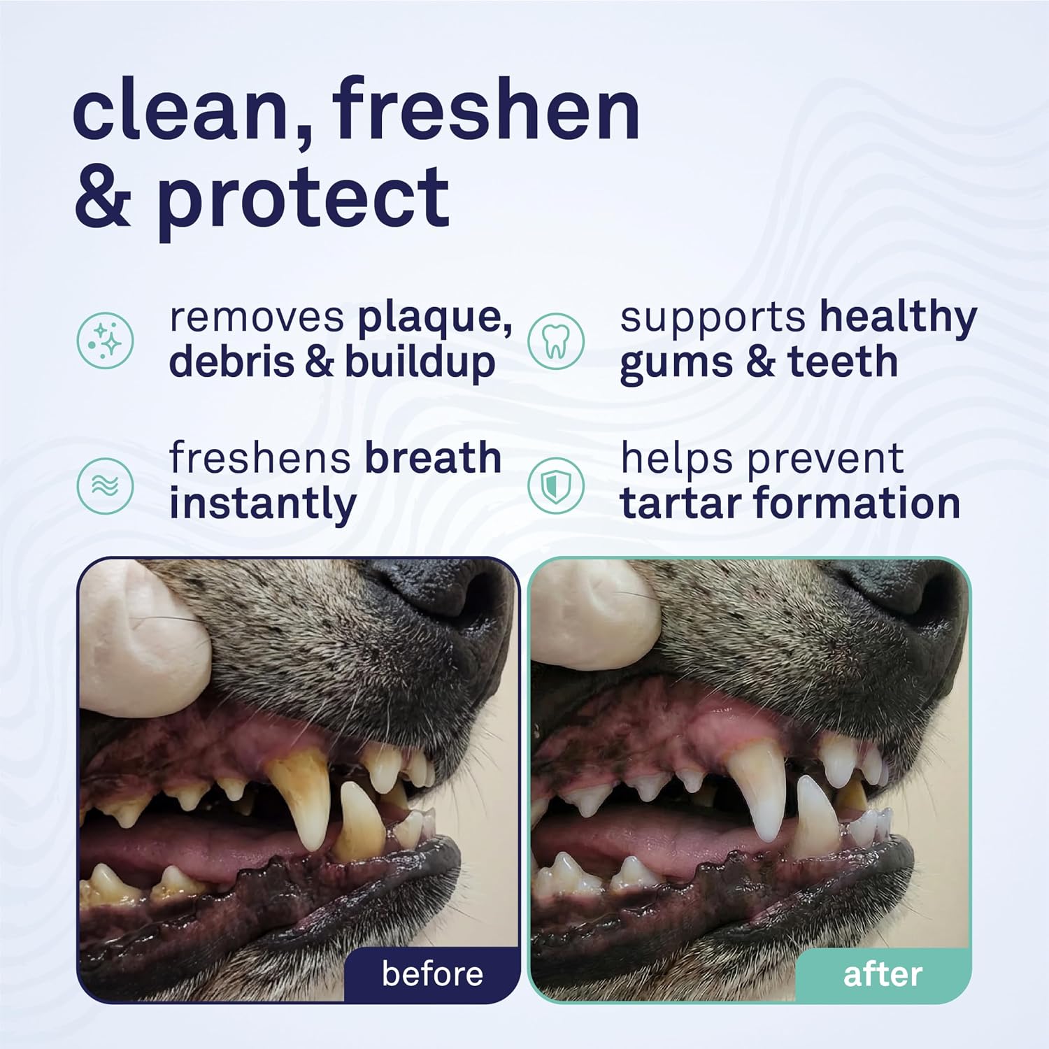 Petpost Dental Wipes for Dogs | 100 Count Presoaked Pads in Natural Tooth Cleaning Solution | Bad Breath and Tooth Buildup Remover