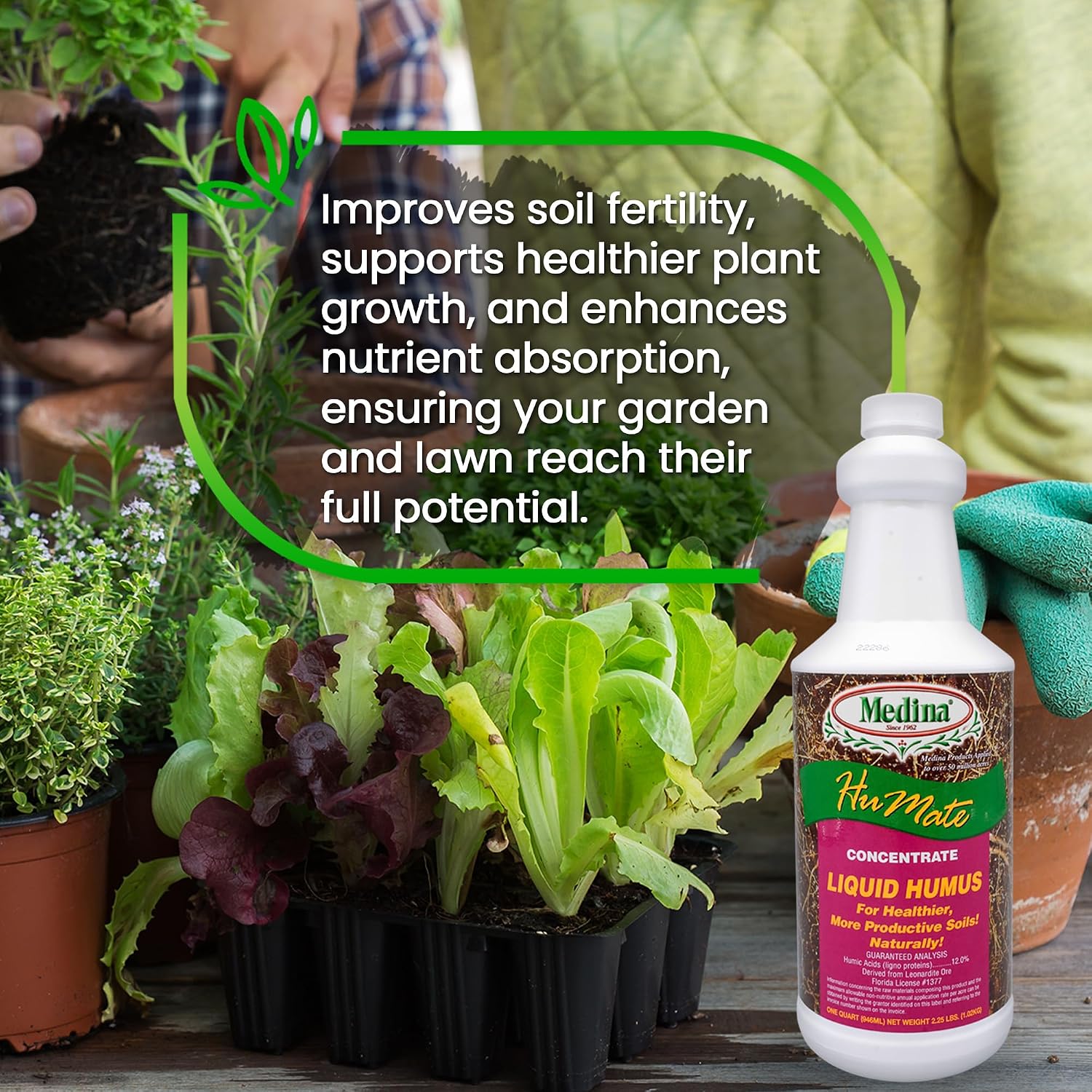 Medina Humate Humic Acid for Plants, 1 Gal, Concentrated Liquid Compost | Humic Acid for Lawn, Enhance Plant Growth, Moisture Retention, Nutrient Absorption, Humates for Soil, Covers 8000 Sq. Ft.