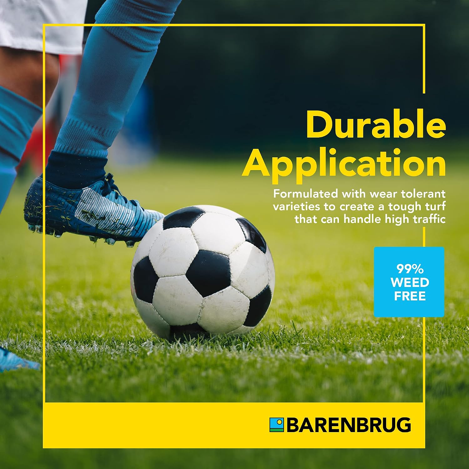 Barenbrug 25626 Turf Sense Athletic Field Grass Seed Grows in Areas of Sun and Partial Shade, 25 LB Bag