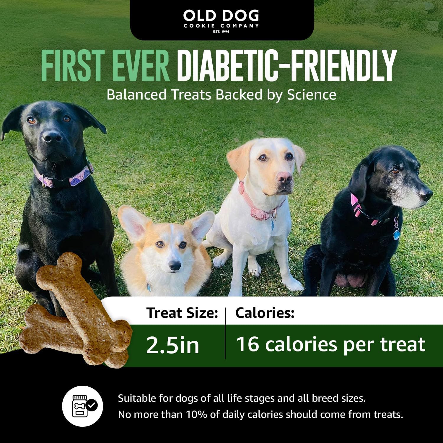 Old Dog Cookie Company All Natural Diabetic Dog Treats – Vet Approved Dog Snacks | Best Healthy Chews for Dogs, Top Treat for Dogs | Low Glycemic