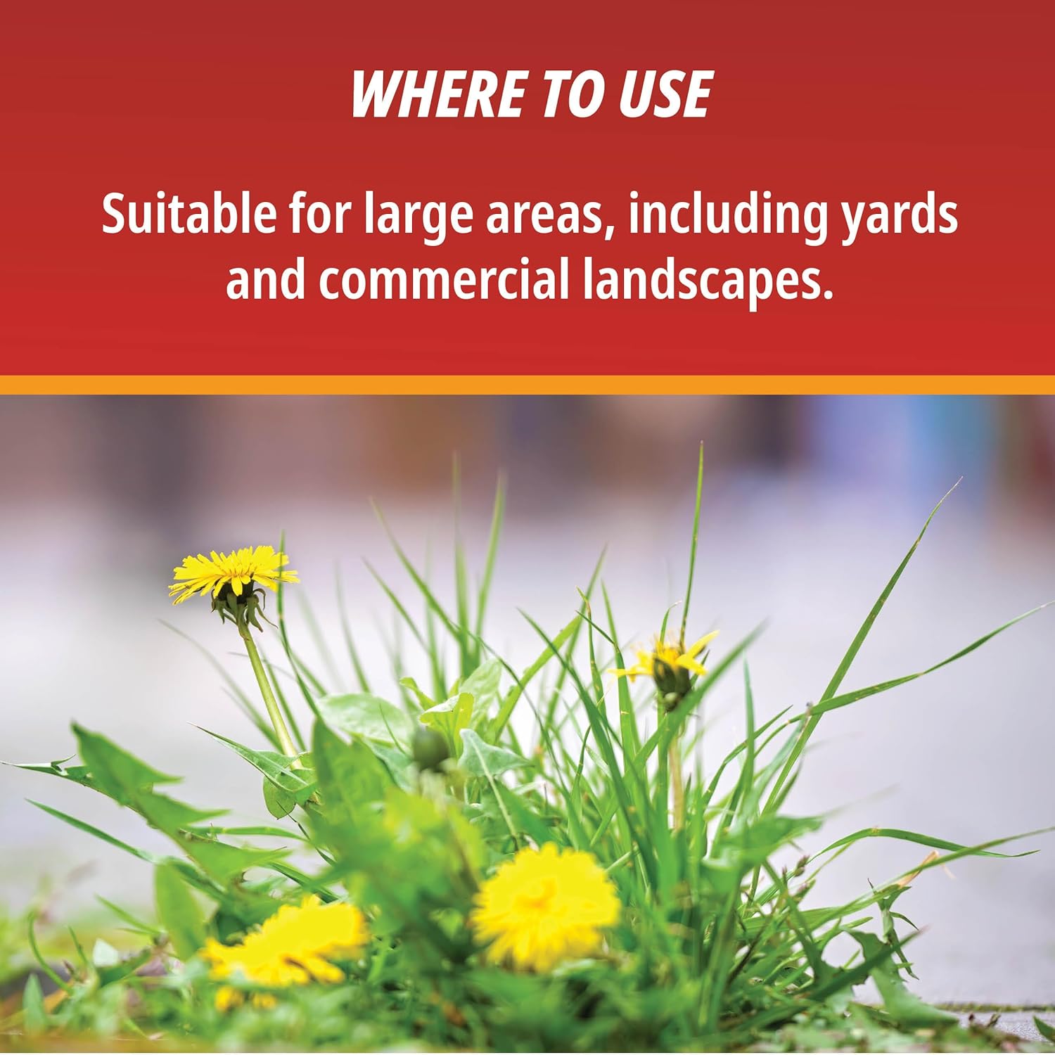 Control Solutions Inc. 82004319 Eraser Weed & Grass Killer Concentrate, 1_Gallon, 128 oz