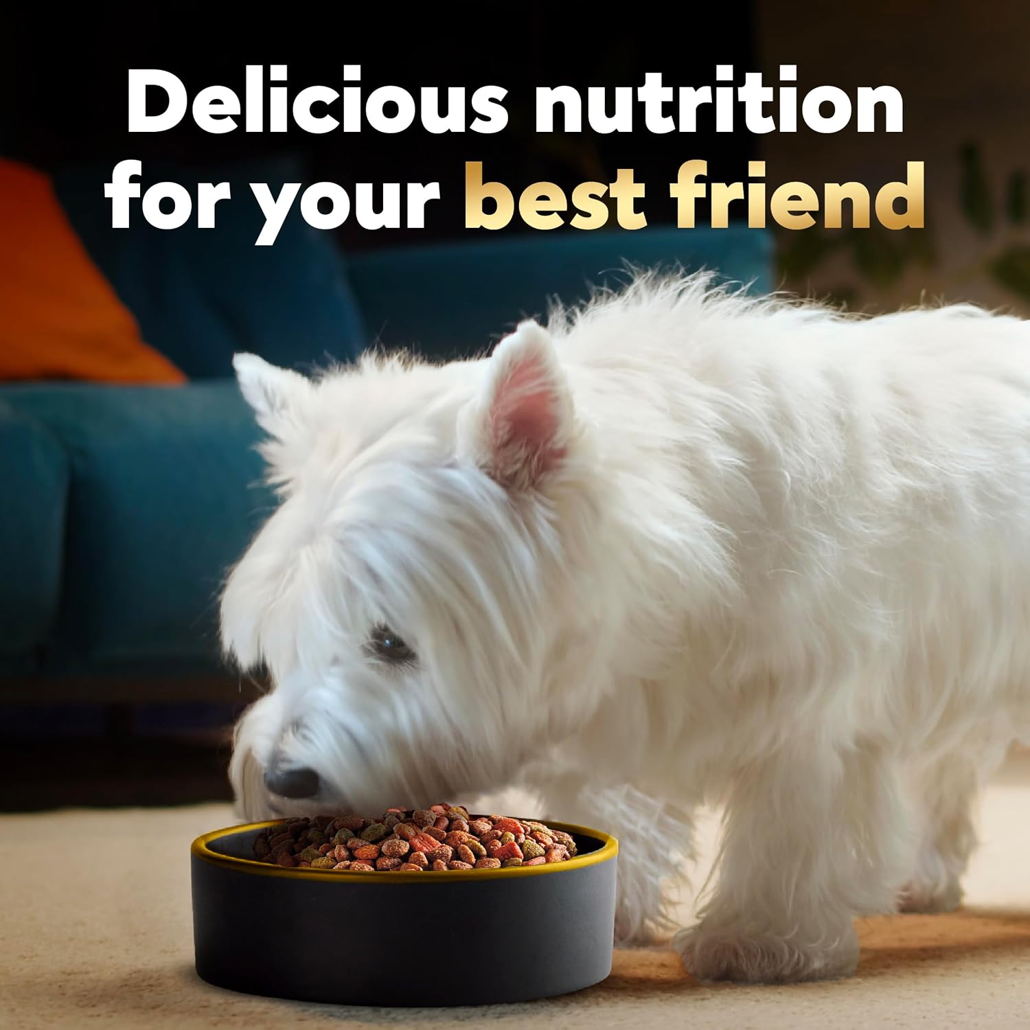 Cesar Small Breed Dry Dog Food, Chicken & Spring Vegetables Flavor, 5 lb | Made in USA, Real chicken #1 ingredient, 26 essential nutrients, supports small breed health, no artificial flavors