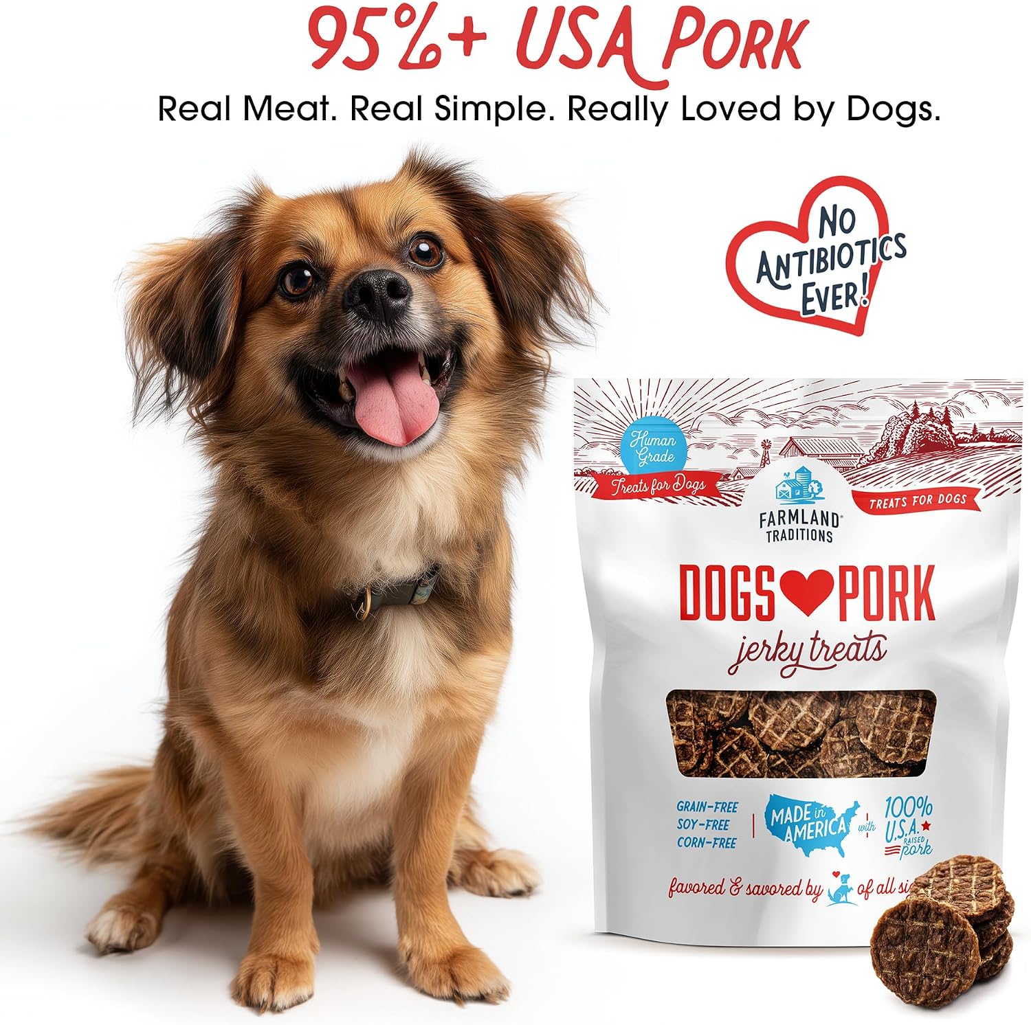 Farmland Traditions Filler Free Dogs Love Chicken Premium Jerky Treats for Dogs, 3 lb. Bag