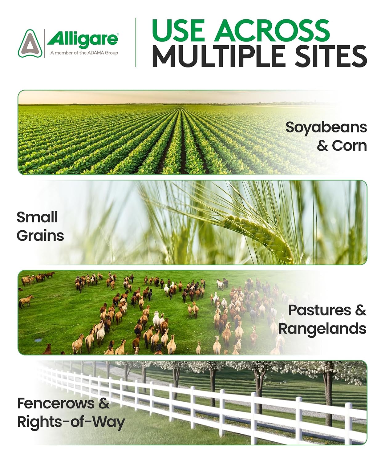 ALLIGARE 2,4-D Amine Weed Killer Concentrate - Post-Emergent Herbicide to Control Pigweed, Thistle, Ragweed, & More - 47.2% Active Ingredient - for Lawns, Pastures, Aquatic Sites & Crops - 2.5 Gallon