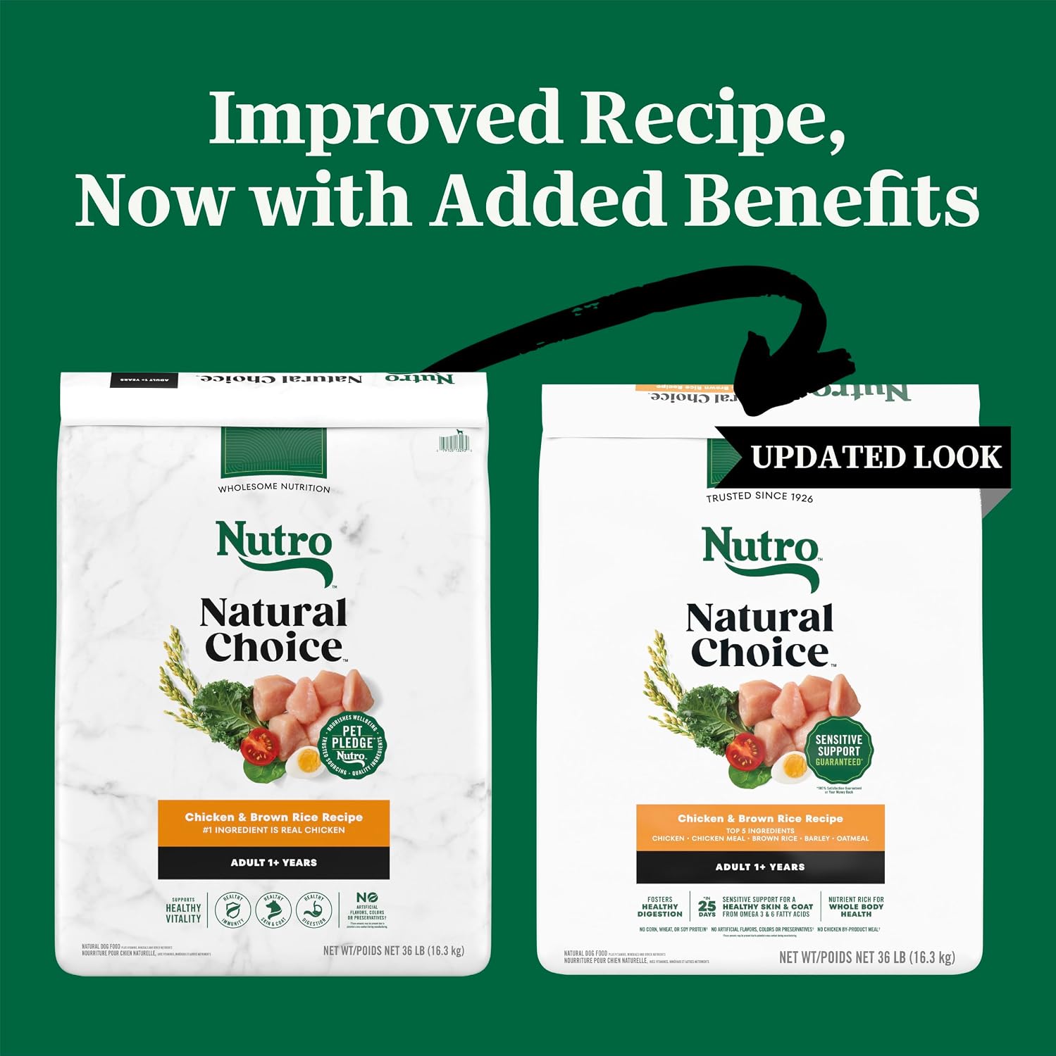 Nutro Natural Choice Adult Dry Dog Food, Chicken & Brown Rice Recipe, 5 lb | Non-GMO, Real chicken #1 ingredient, no corn, wheat, soy or chicken by-product meal, supports skin & coat/digestion/immunity