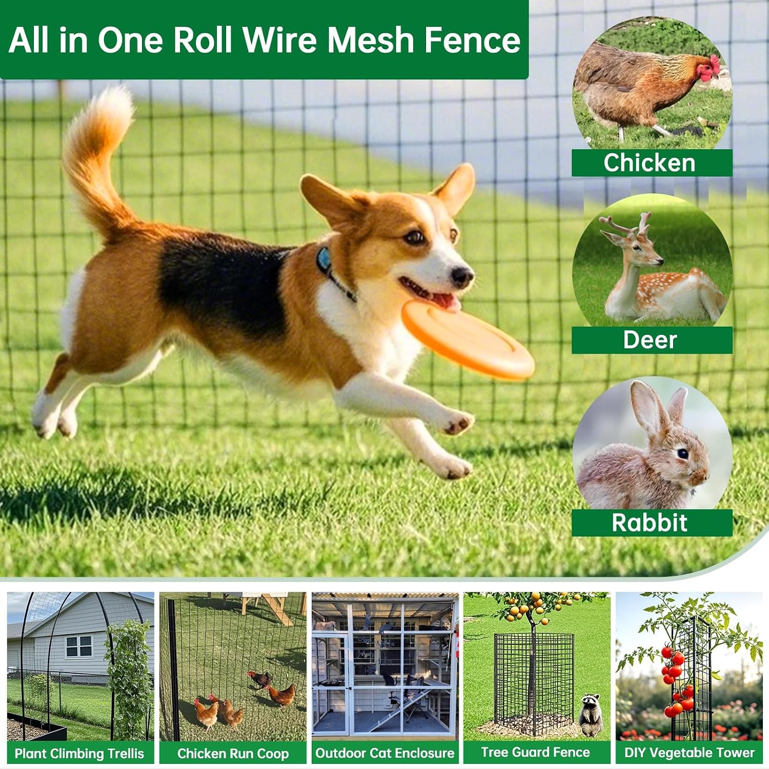 Amagabeli Hardware Cloth 1/2 inch 36 x 100 ft 19 Gauge Chicken Wire Fence Hot-Dipped Galvanized After Welding Welded Wire Fencing Mesh Roll Garden Plant Support Poultry Rabbit Cage Snake Gopher