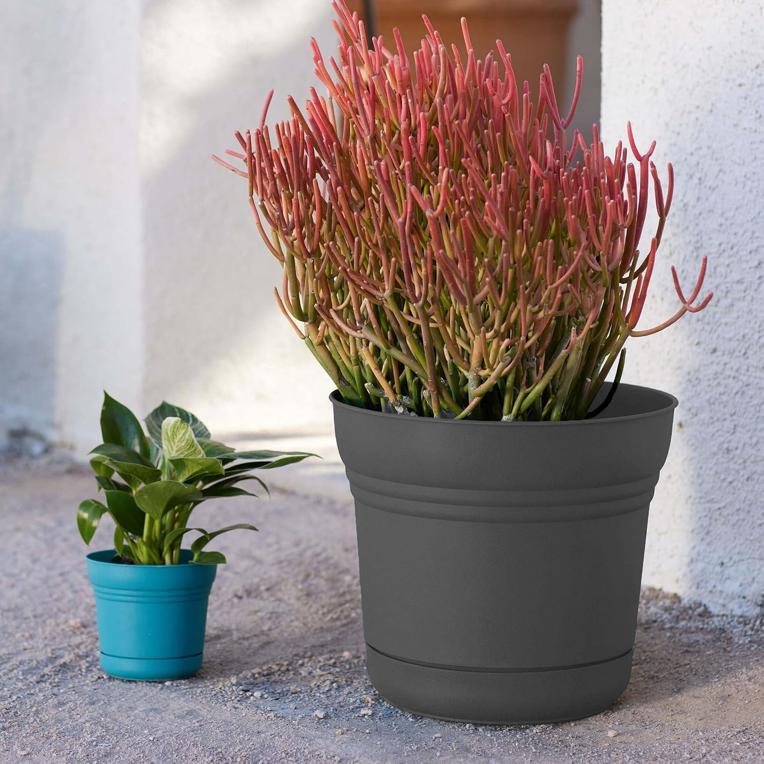 Bloem Saturn Round Planter with Saucer Tray: 14" - Black - Durable Plastic Pot, Matte Finish, Removable Saucer, for Indoor & Outdoor Use, Gardening, 5 Gallon Capacity