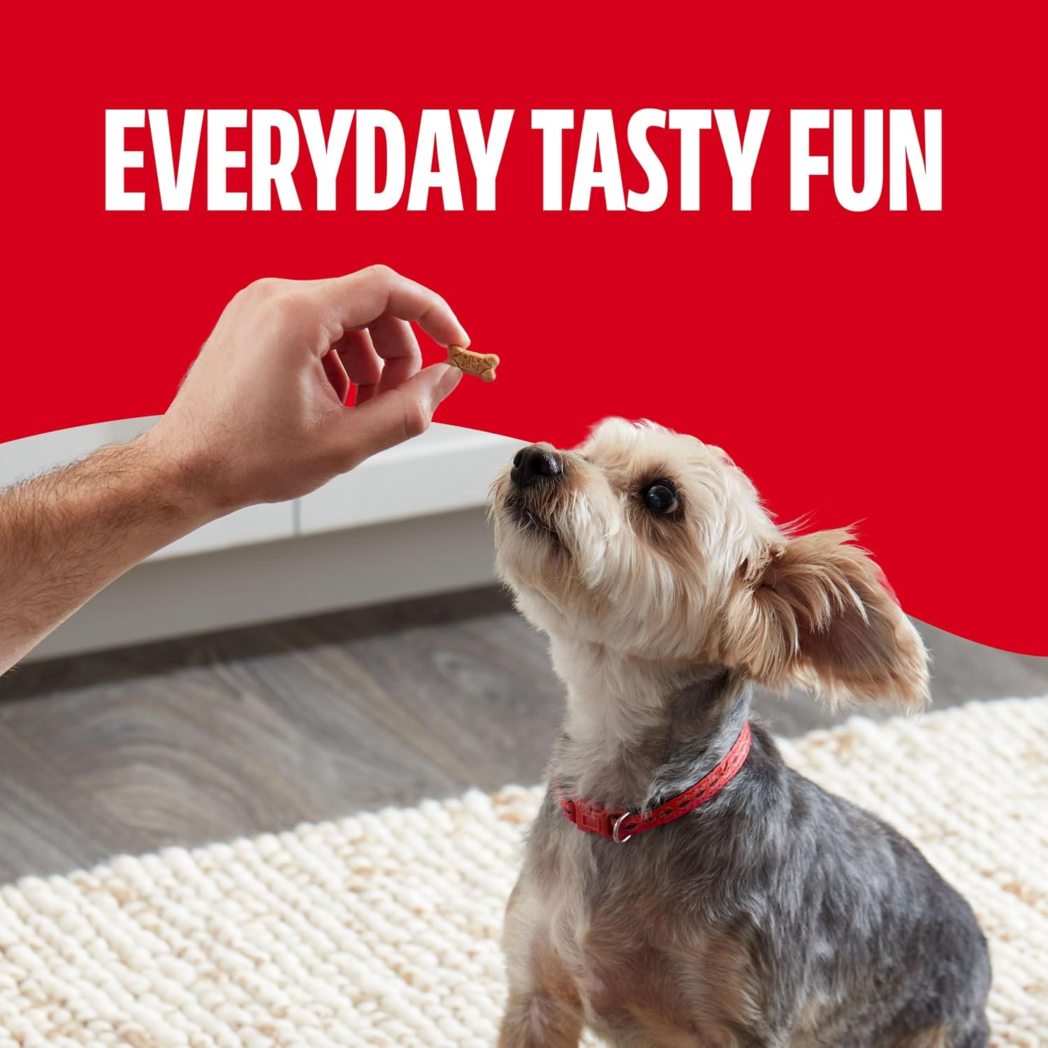 Milk-Bone Soft & Chewy Dog Training Treats, 25 oz Canister | Made with real chicken breast, soft dog treats for training and rewarding, 18% protein, fortified with vitamins and minerals