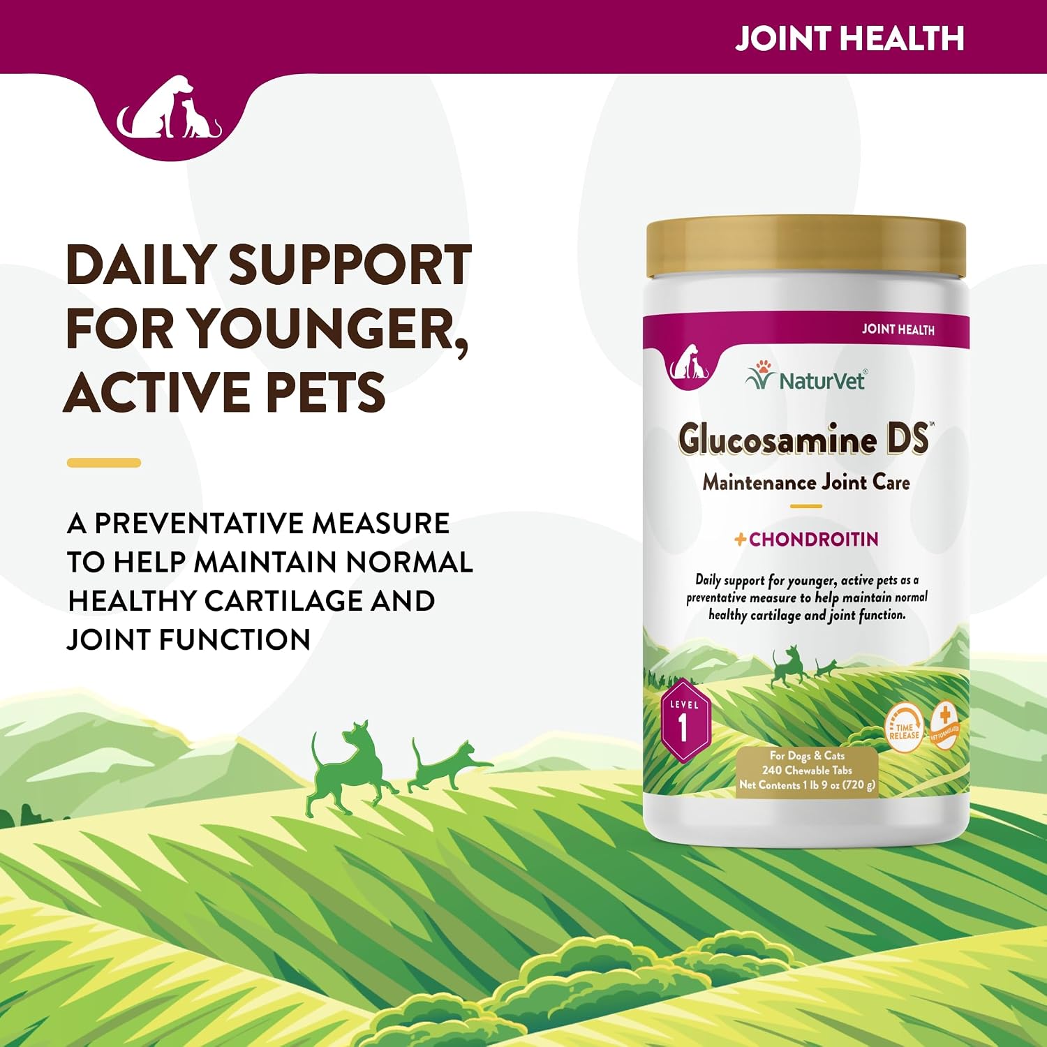 NaturVet – Glucosamine DS Plus - Level 2 Moderate Care – Supports Healthy Hip & Joint Function – Enhanced with Glucosamine, MSM & Chondroitin – for Dogs & Cats–70 Soft Chews