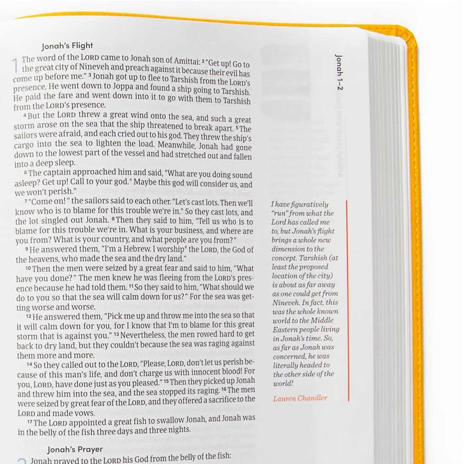 CSB Lifeway Women's Bible, Marigold LeatherTouch, Black Letter, Single-Column, Wide-Margins, Devotions, Articles, Word Studies, Character Profiles