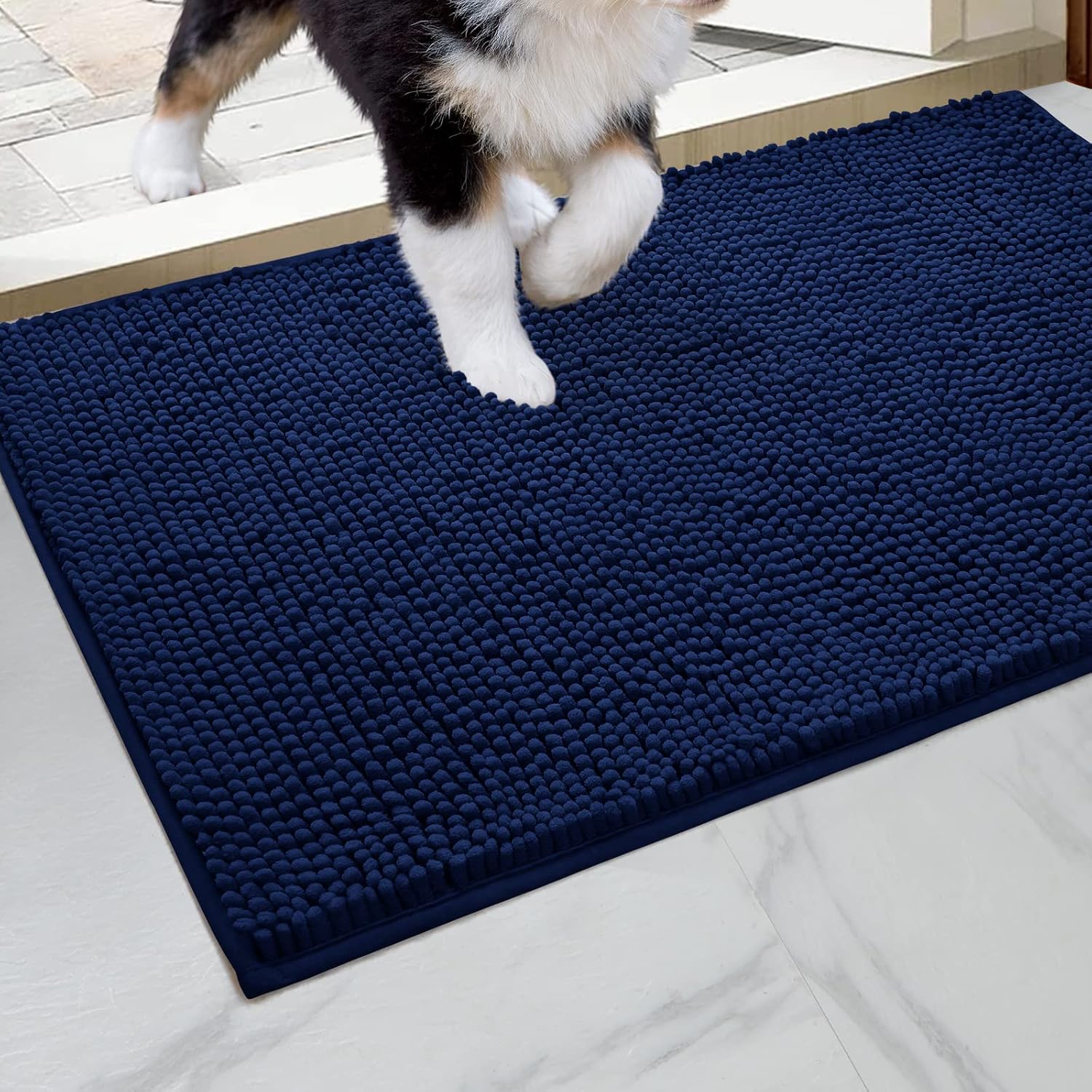 HOMEIDEAS Dog Door Mat for Muddy Paws 30x20, Absorbs Moisture and Dirt, Non-Slip Washable Doormat, Soft Chenille Mud Mat for Dogs