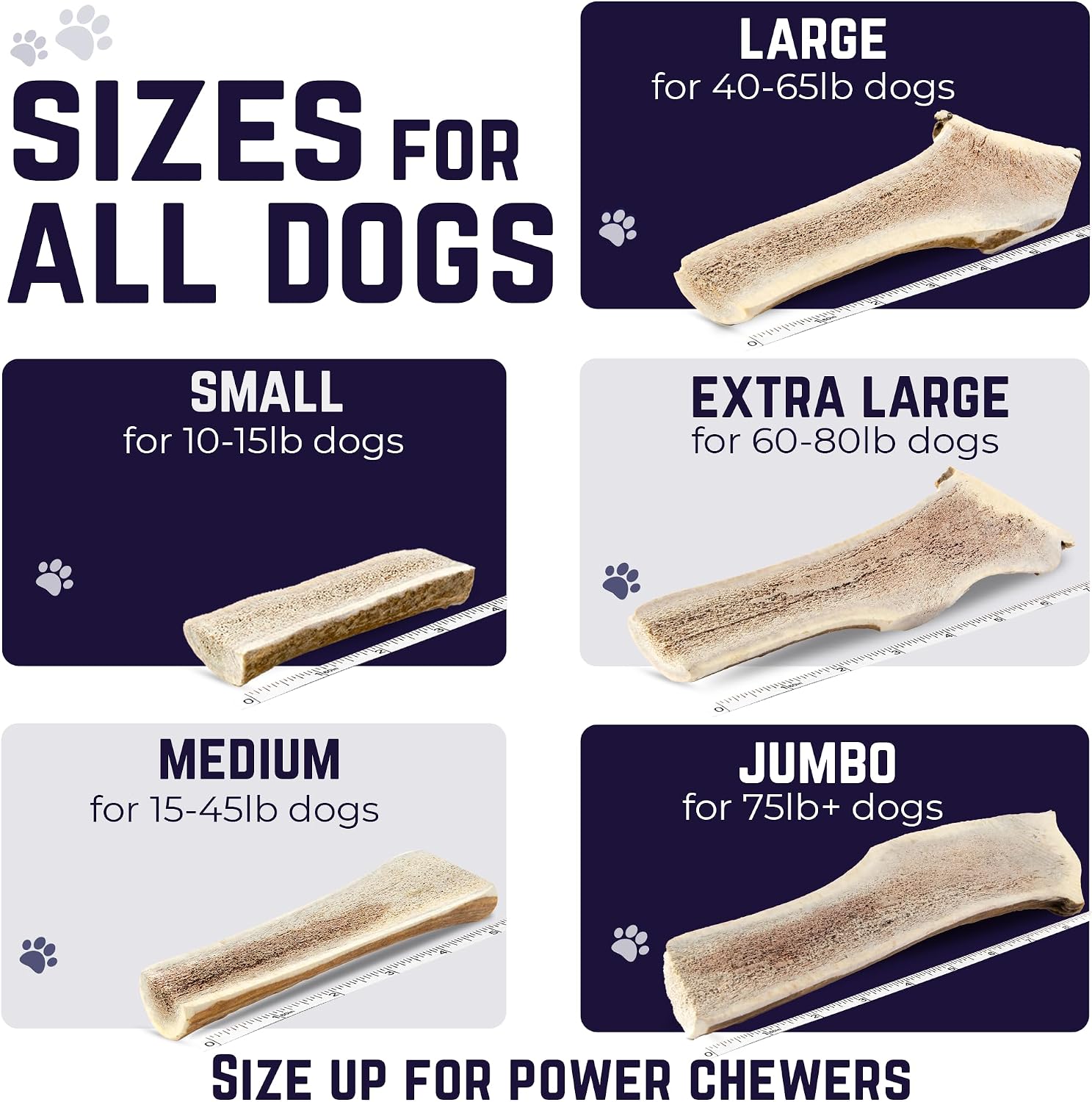 Devil Dog Pet Co Whole Elk Antlers for Dogs, Medium, Aggressive Chewers | Naturally shed Grade A Rocky Mountain elk antler, single ingredient, long lasting, 5 in+, fits breeds up to 50 lb
