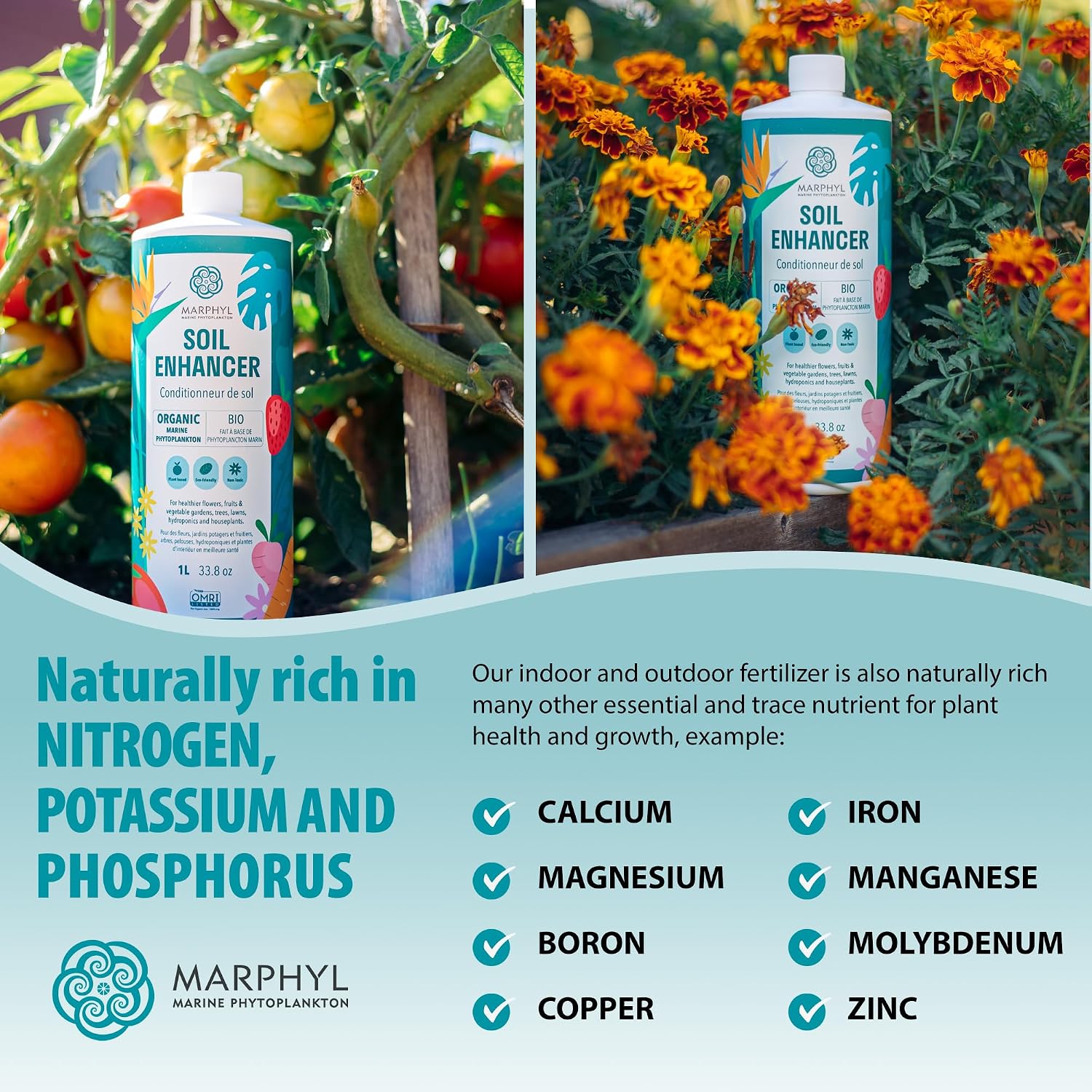 MARPHYL All-Purpose Plant Food – Organic Nutrient-Rich Fertilizer & Soil Enhancer for Indoor & Outdoor Flowers, Vegetables, Succulents, Bamboo & Hydroponics