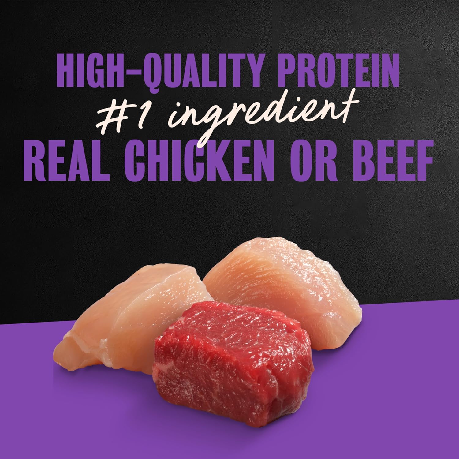 Cesar Wet Dog Food, Steak Lovers Variety Pack, 3.5 oz, 36 Count | Real meat #1 ingredient, easy peel trays, 100% complete & balanced, no fillers, no added sugar, no artificial flavors