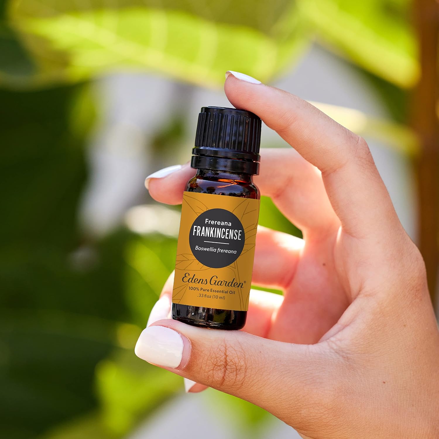 Edens Garden Cedarwood-Texas Essential Oil- 100% Pure 10 ml (.33 fl oz)