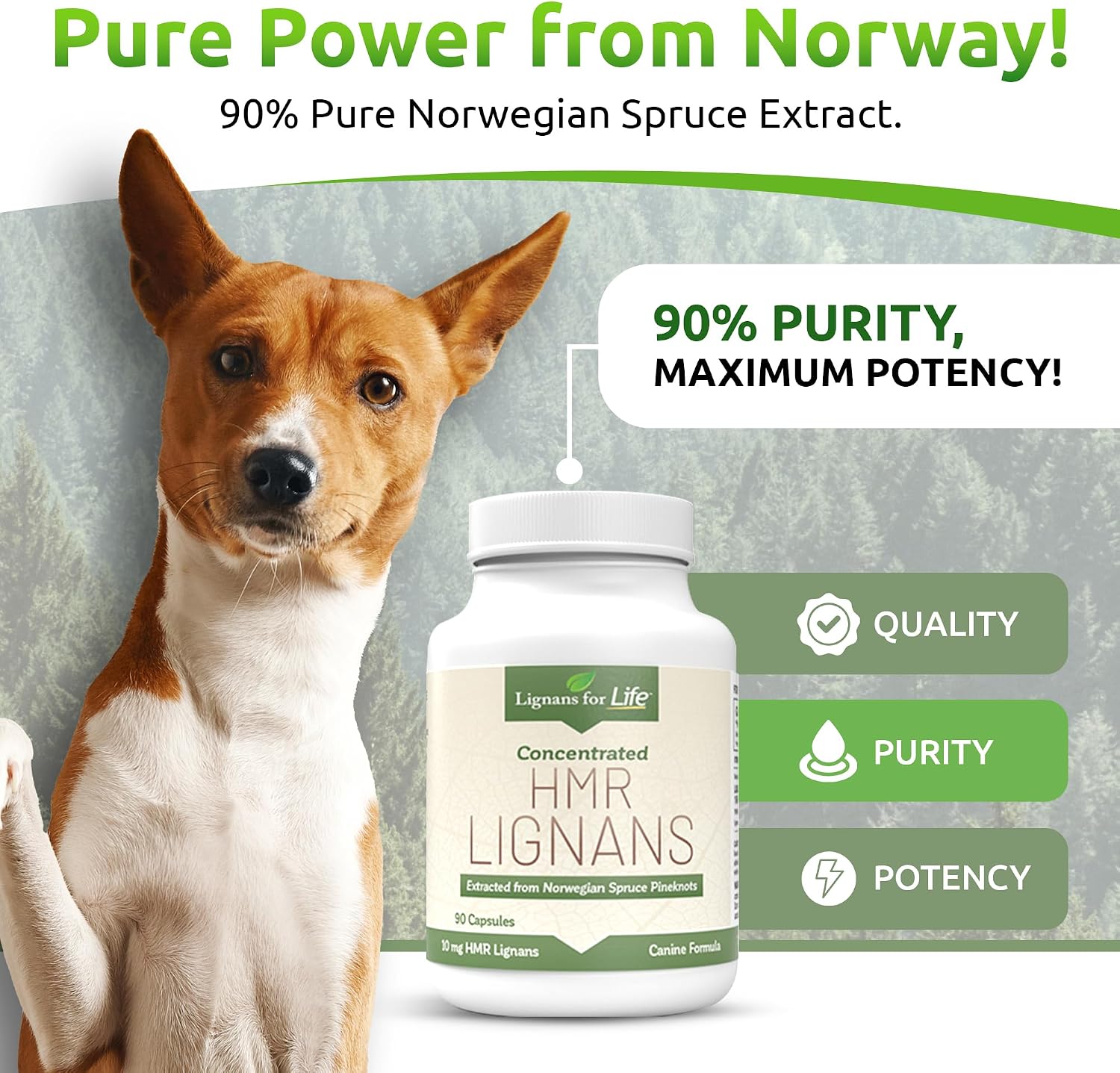 Lignans For Life HMR LIGNANS 10mg Capsules - Perfect for Small Dog Breeds - Vitamin for Healthy Pet | Multivitamin | Wellness Supplement | Nutritional