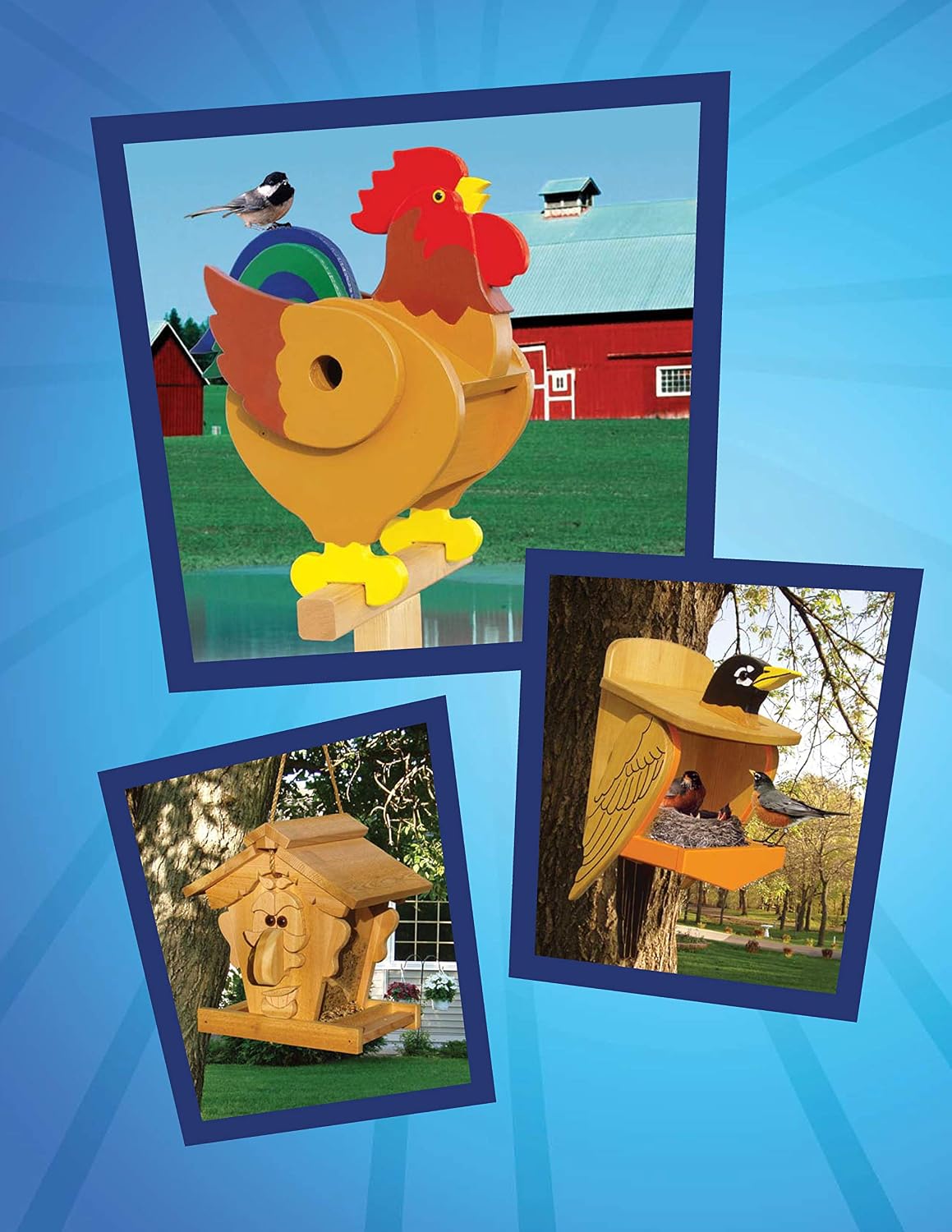 Wild & Wacky Birdhouses and Feeders: 18 Creative and Colorful Projects That Add Fun to Your Backyard (Fox Chapel Publishing) Bear, Rooster