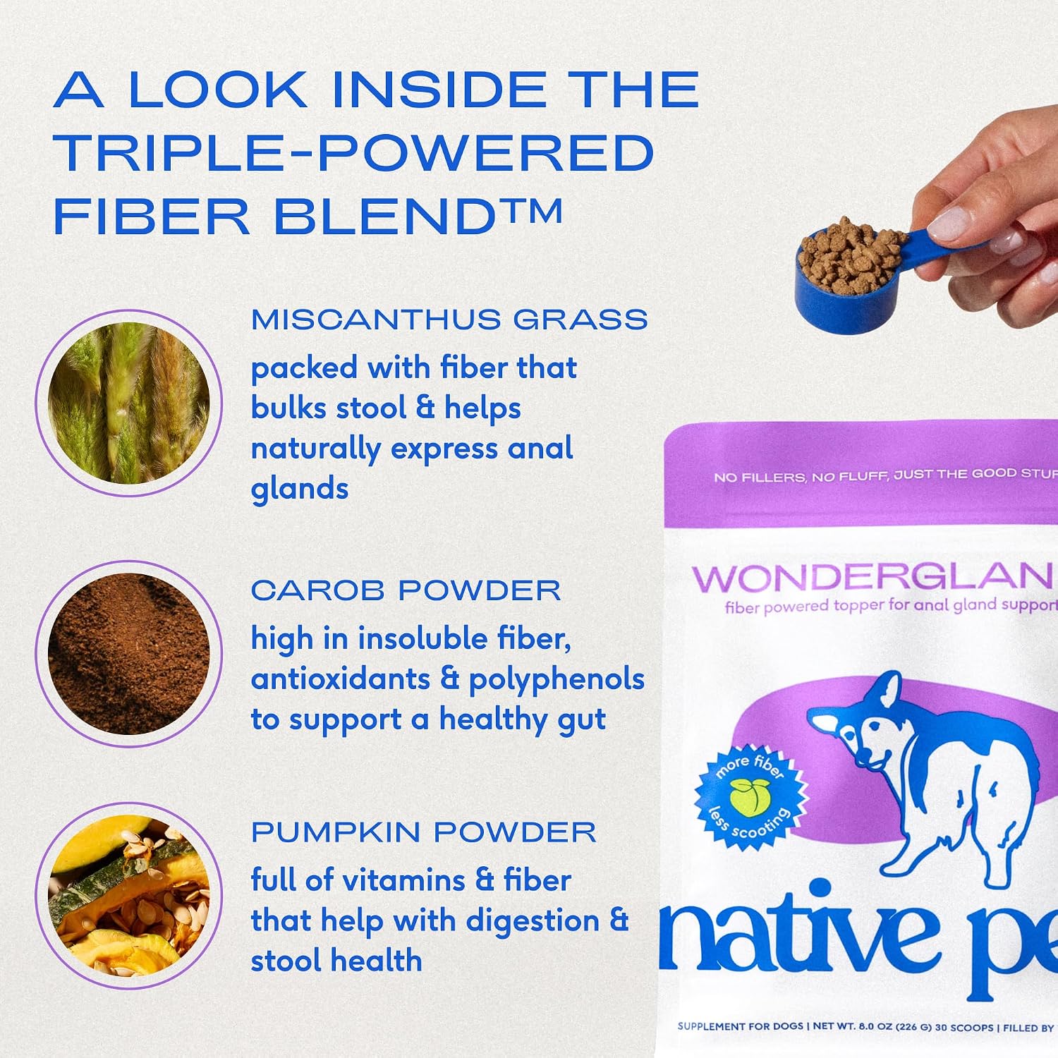 Native Pet Probiotics for Dogs – Dog Probiotic Powder for Gut & Digestive Health, Vet-Formulated 6B CFUs Dog-Specific Probiotic Strains