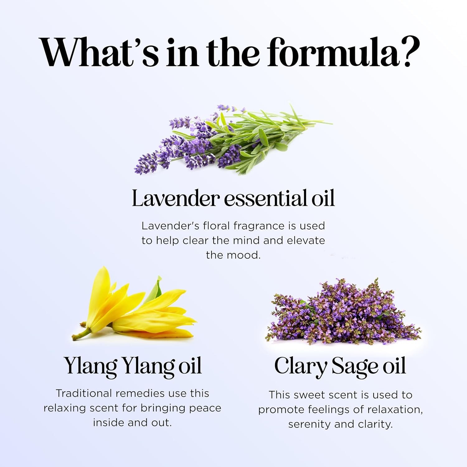 Defend Cleaning Essential Oil Blend - Pure Undiluted Natural Purification Essential Oils for Diffusers for Home Cleansing - Aromatherapy Essential