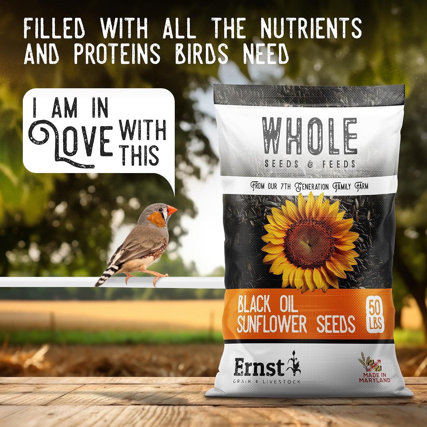 Ernst Grain & Livestock Black Oil Sunflower Seeds - Birdseed for Outside Feeders Wild Bird Food - Ideal Bird Seed for Cardinals