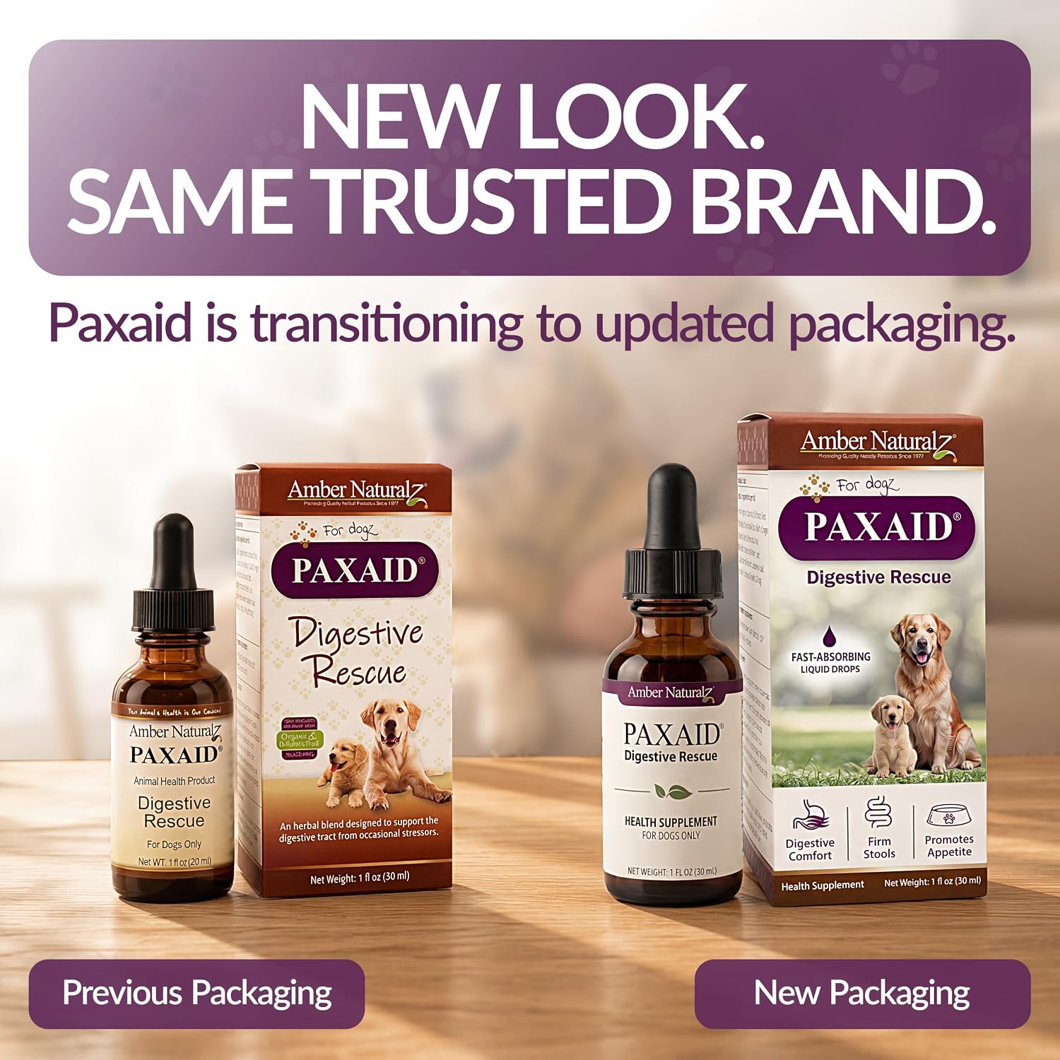 Amber NaturalZ Paxaid Dog Digestive Rescue Drops, Herbal, 1 FL OZ | Herbal digestive support drops for dogs & puppies; supports gut health, firm stools, normal appetite; USA-made