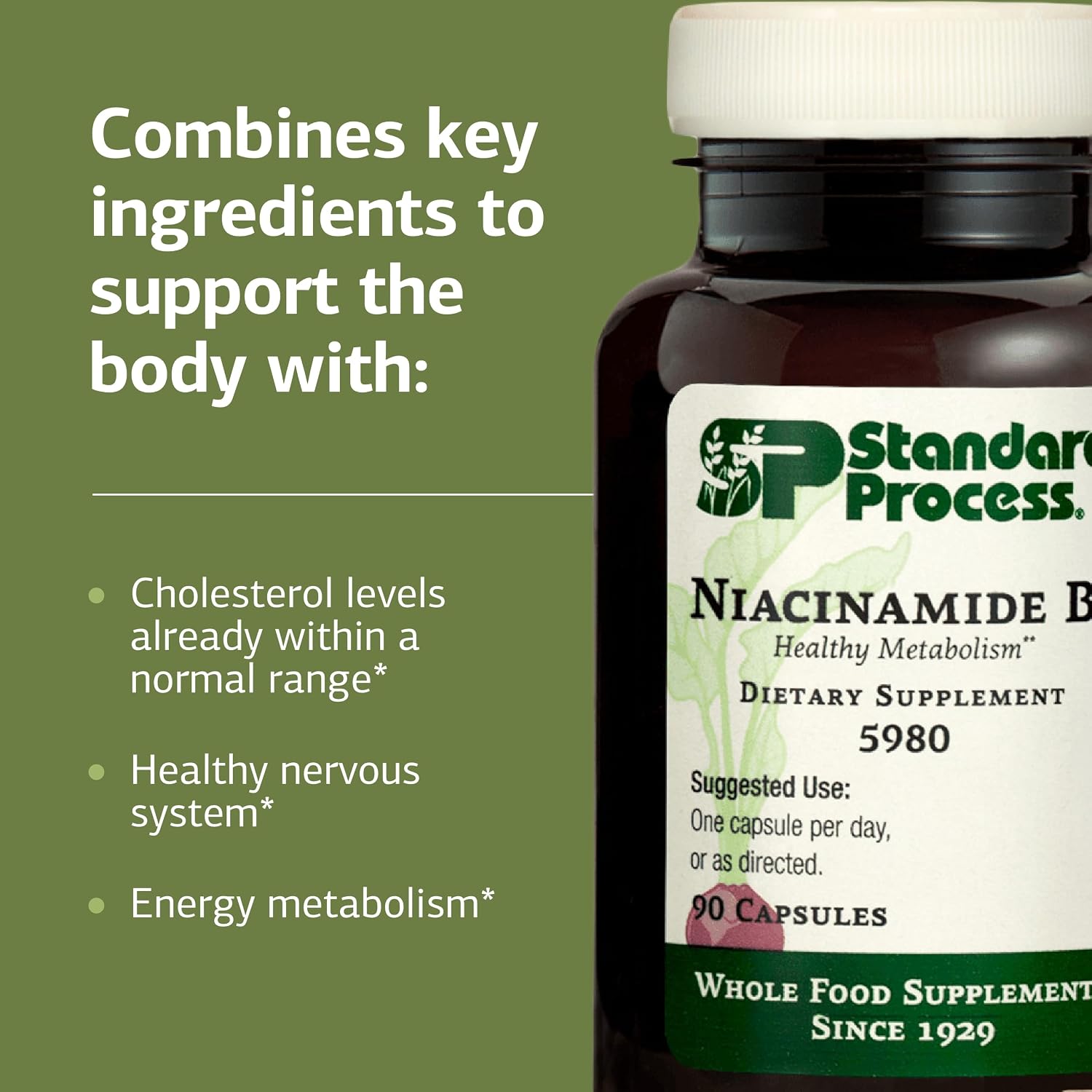 Standard Process Niacinamide B6 - Supports Energy Metabolism & Nervous System Health - Aids Blood Flow & Digestive Health with Niacin & Vitamin B6