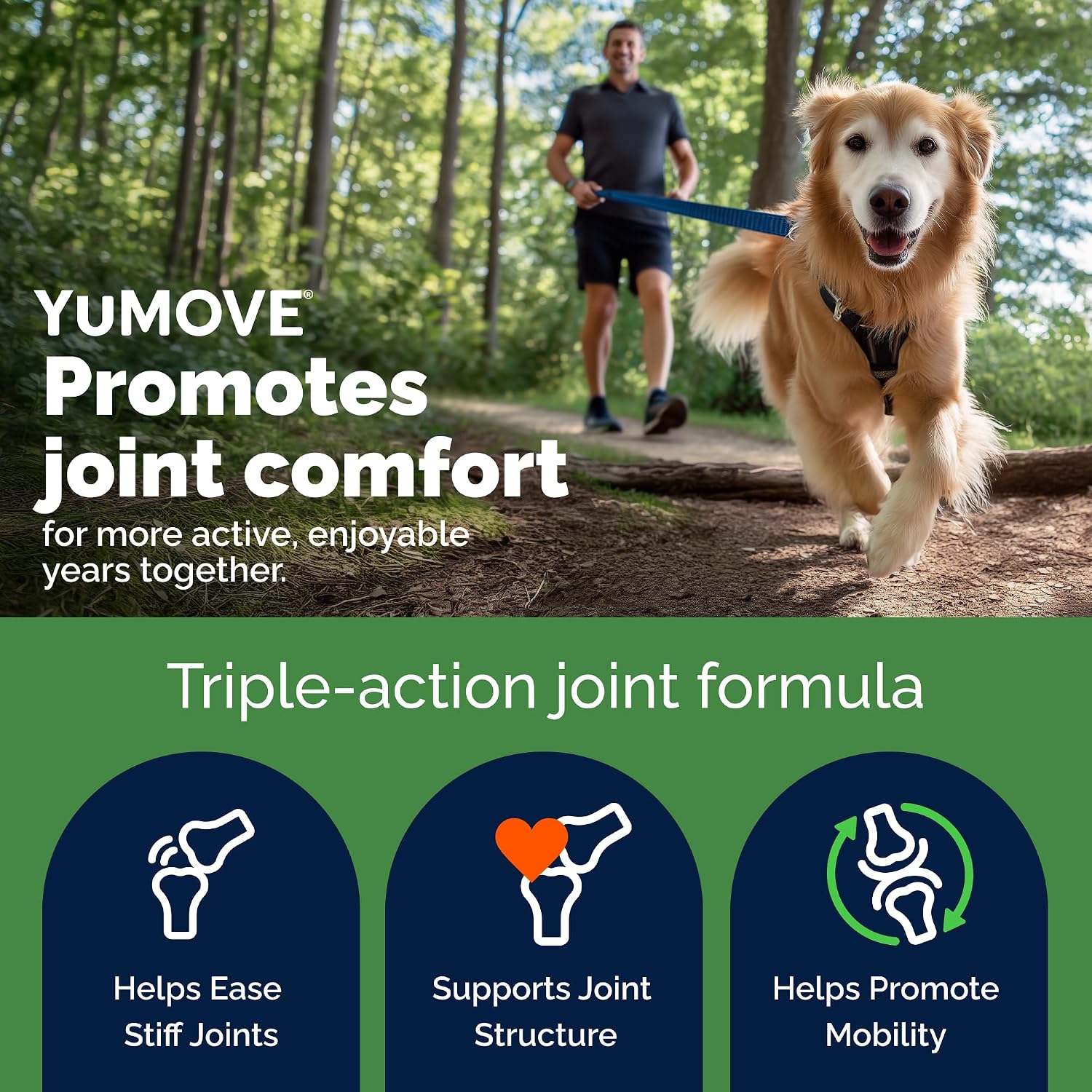 YuMOVE Dog Hip & Joint Supplement, Regular Strength 60 Chewable Tablets | ActivEase Green Lipped Mussel, Glucosamine for Dogs, Hyaluronic Acid & Omega 3 Joint Supplement, NASC Certified