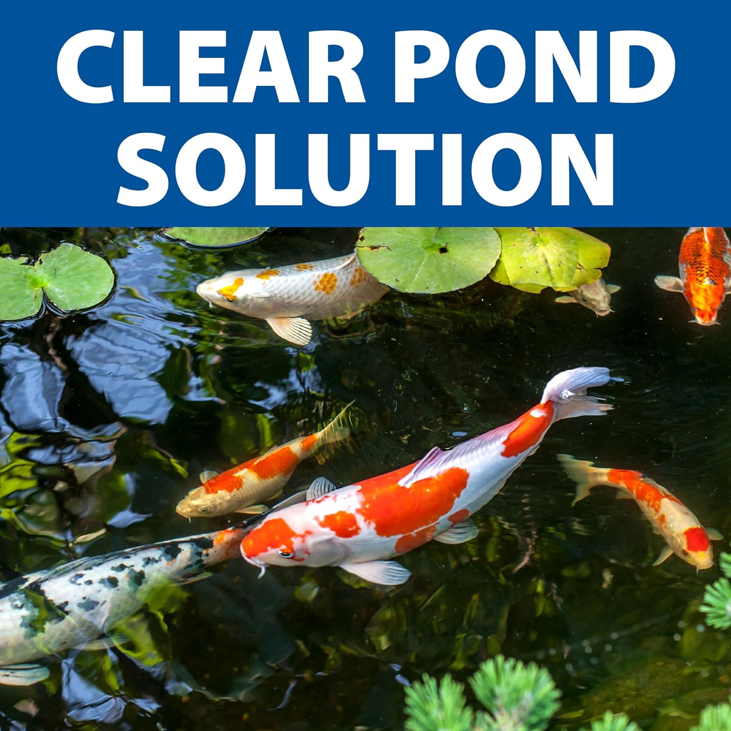 The Pond Guy SimplyClear Pressurized Filtration System, 1250 Gallon