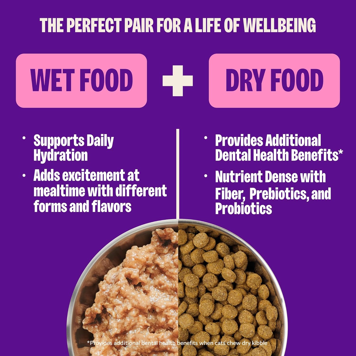 Wellness Complete Health Pate Variety Pack Adult Canned Wet Cat Food, Natural, Protein Rich, Grain Free, Chicken and Turkey Favorites, 3 oz
