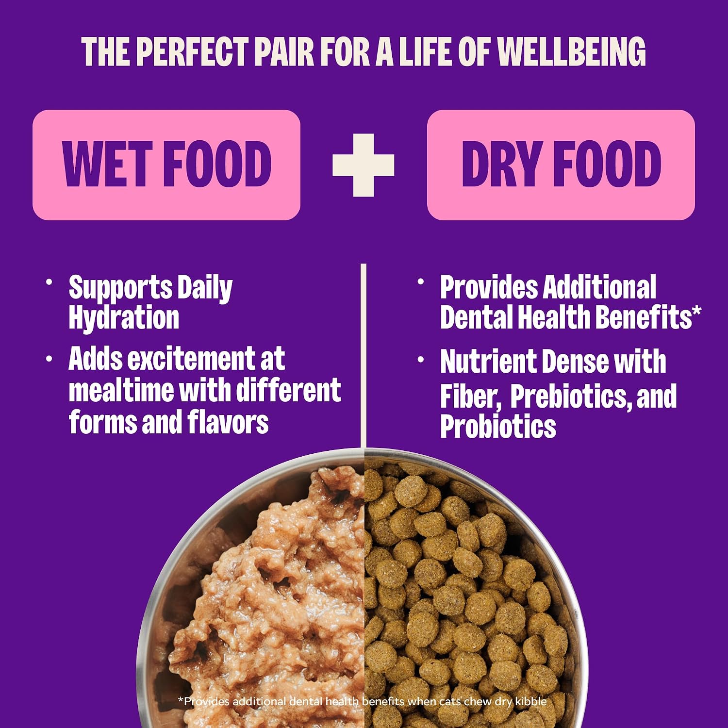 Wellness Complete Health Pate Adult Canned Wet Cat Food, Natural, Protein Rich, Grain Free, Turkey Dinner Recipe, 12.5 oz, Pack of 12 Cans