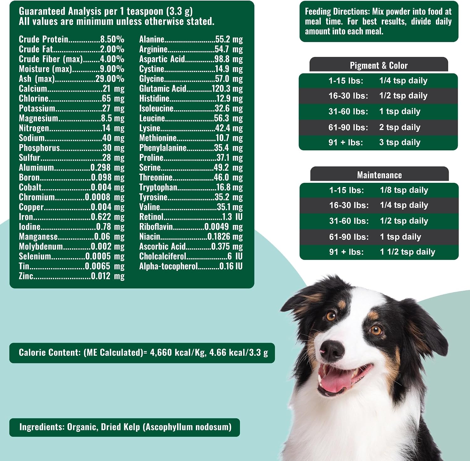 Dogzymes Organic Norwegian Kelp for Pets, a Valuable Nutrition Source Rich in Iodine to Support Gland Function, Especially The Thyroid (3 Pound)