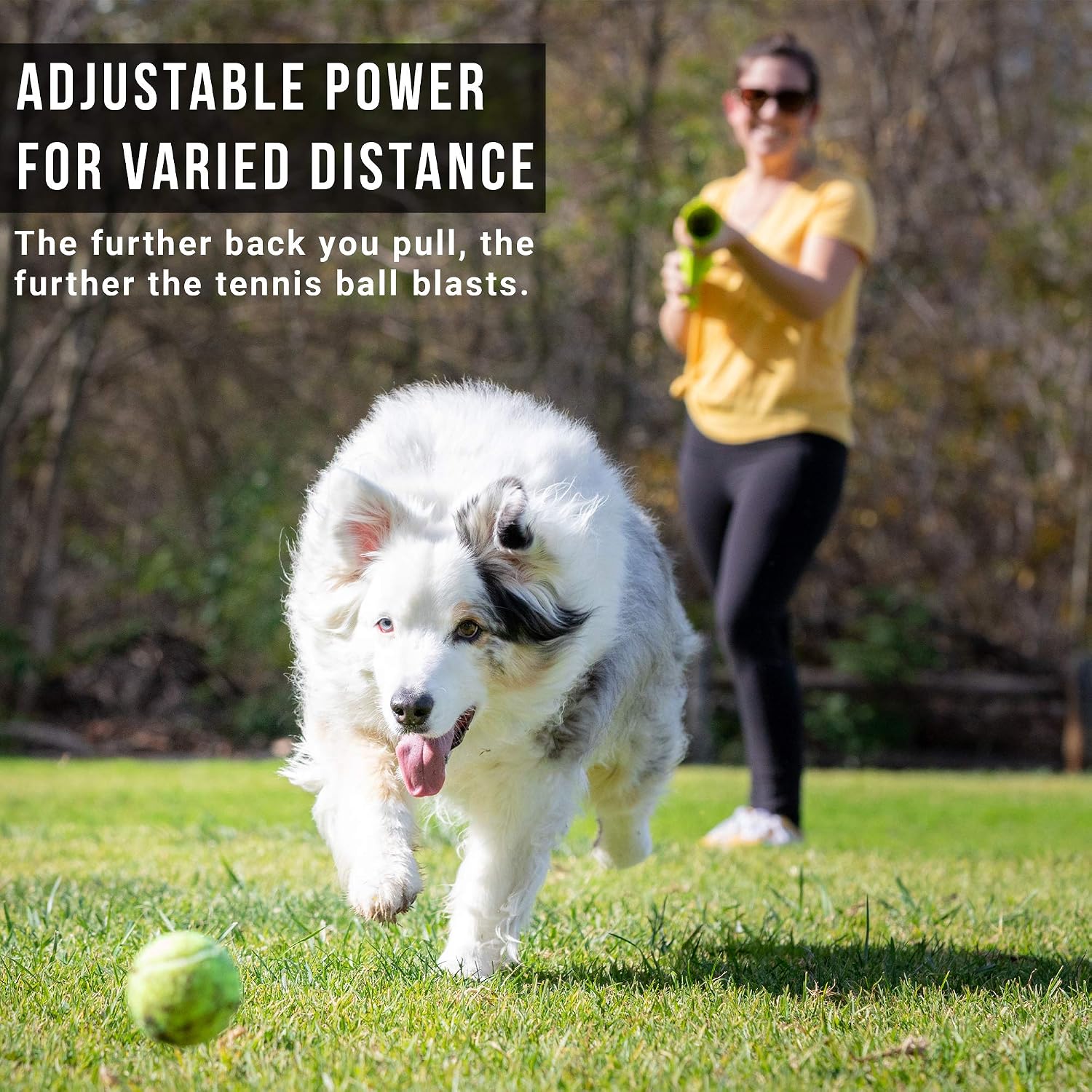 Hyper Pet GoDogGo Fetch Machine Dog Ball Launcher & Automatic Ball Launcher for Dogs With Five 2.5" Balls for Dogs 20-60 Pounds