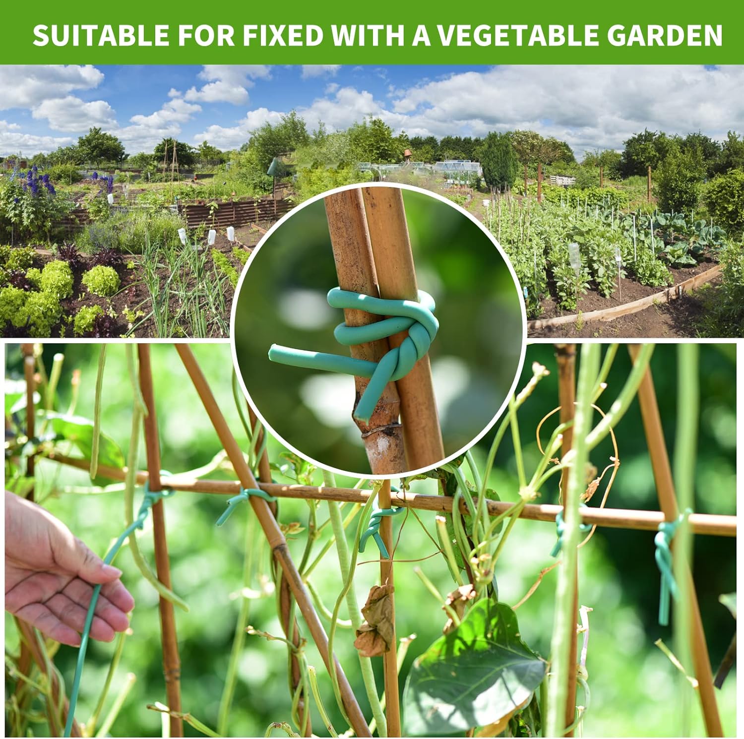 YDSL Soft Plant Tie, Garden Wire Tie for Plants Heavy Duty Reusable Plant Twist Ties for Gardening Home Office (Green, 32.8 feet)