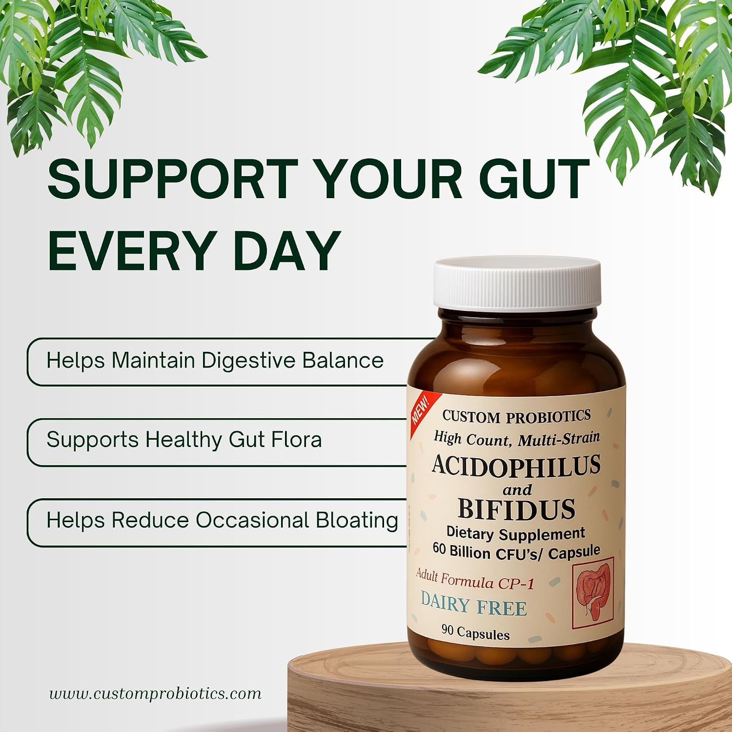 Custom Probiotics CP-1 Adult Formula – 60 Billion CFU Probiotic Supplement – 5 Strain High Potency Probiotics for Digestive & Gut Health